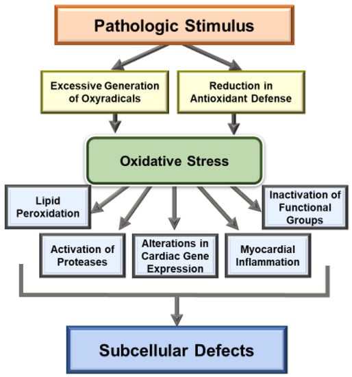 NADPH Oxidase 4 Regulates Inflammation in Ischemic Heart Failure: Role of  Soluble Epoxide Hydrolase