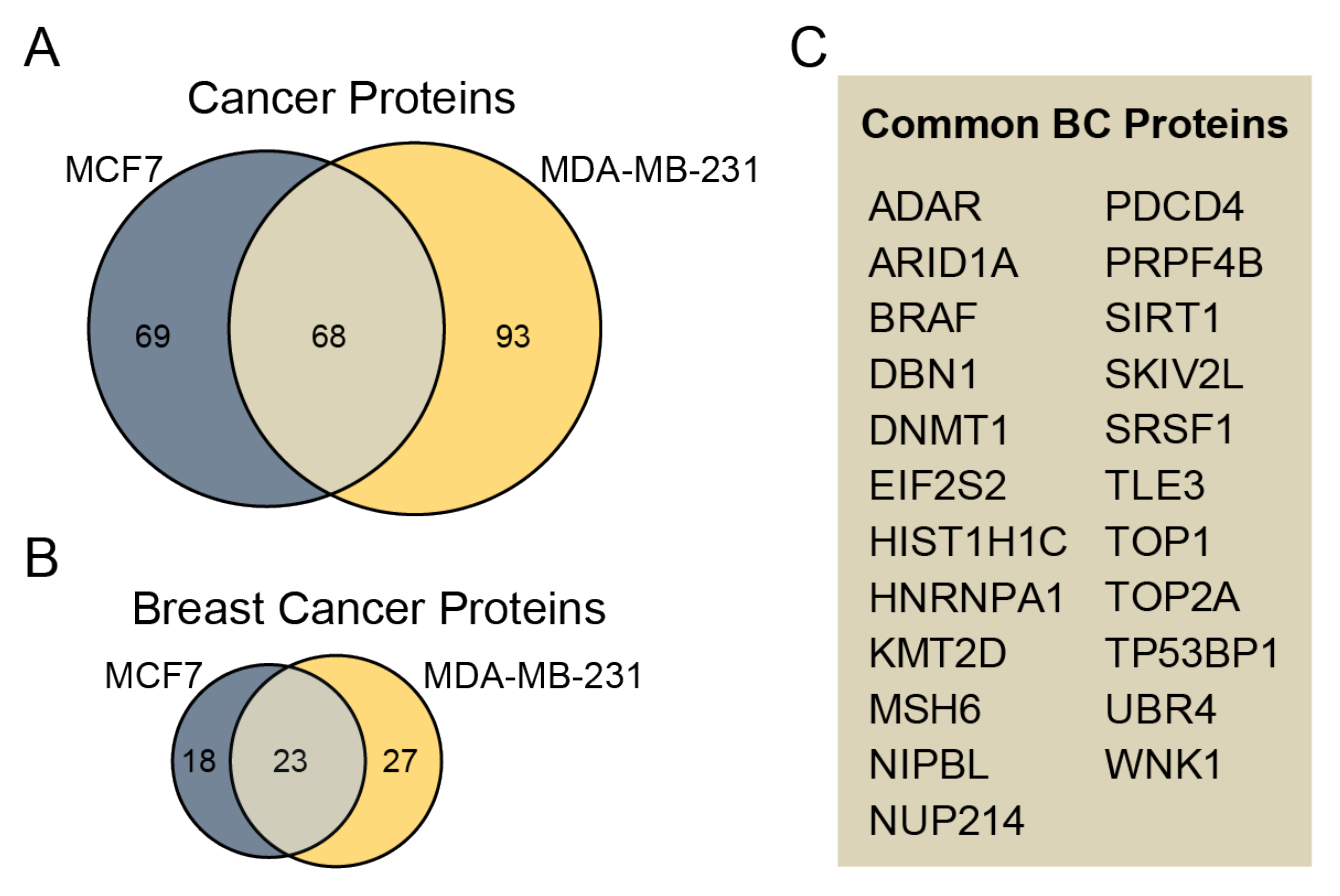 Biomedicines 10 00408 g004