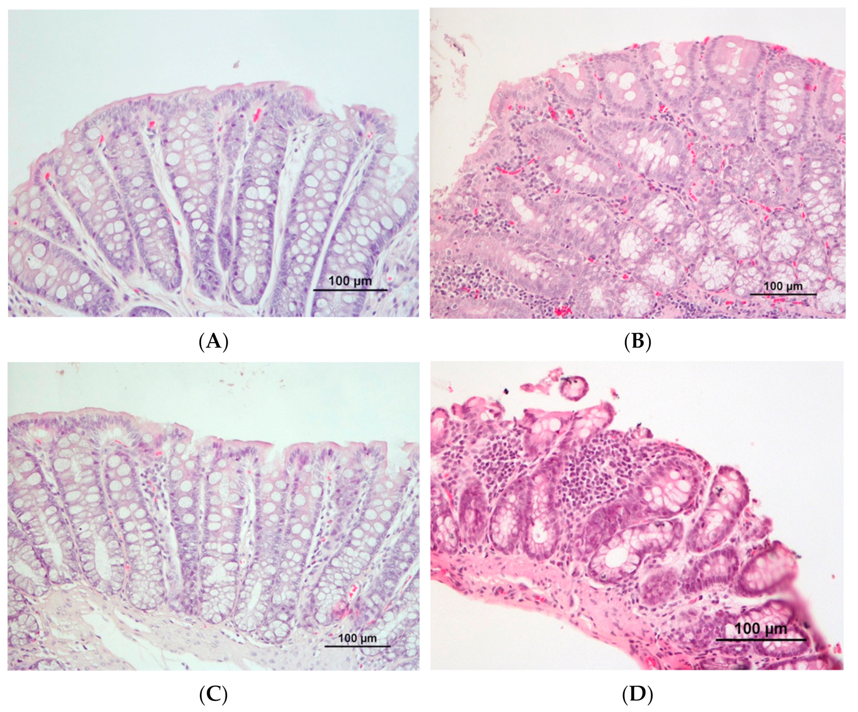 Biomedicines 10 00409 g004