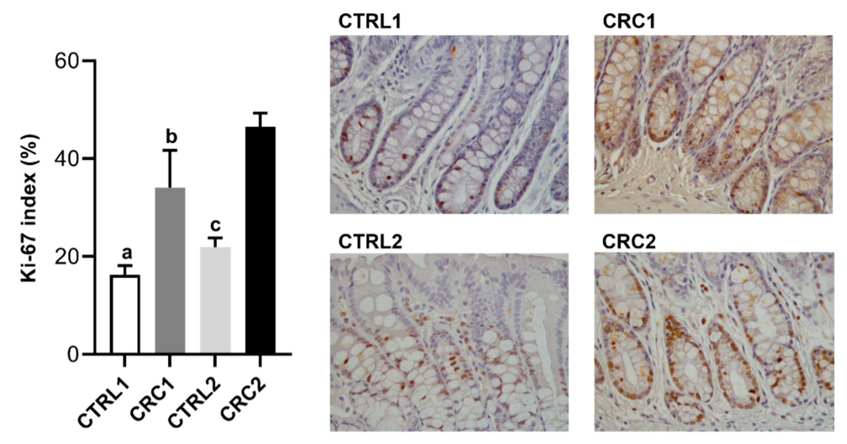 Biomedicines 10 00409 g005