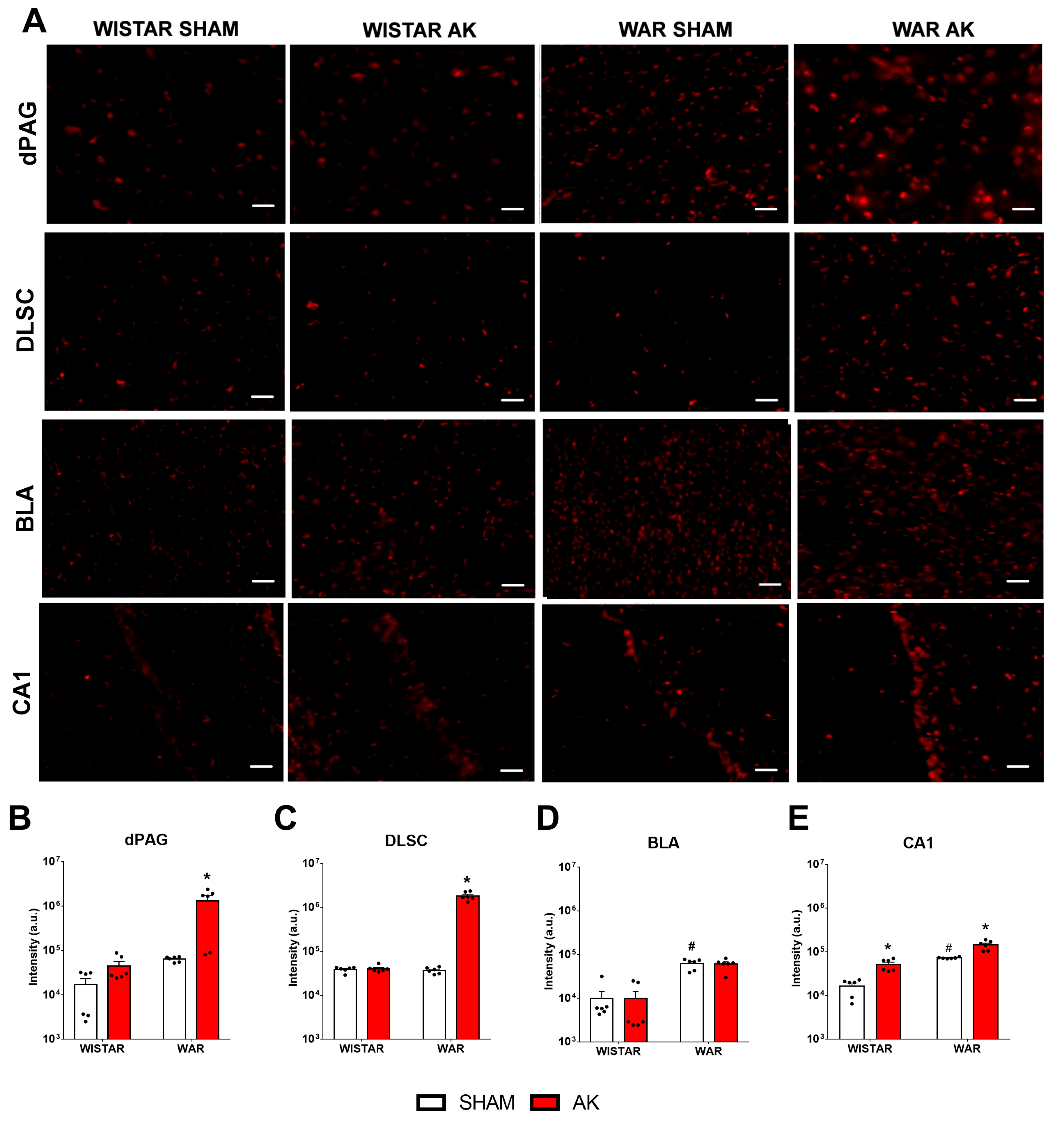 Biomedicines 10 00416 g006