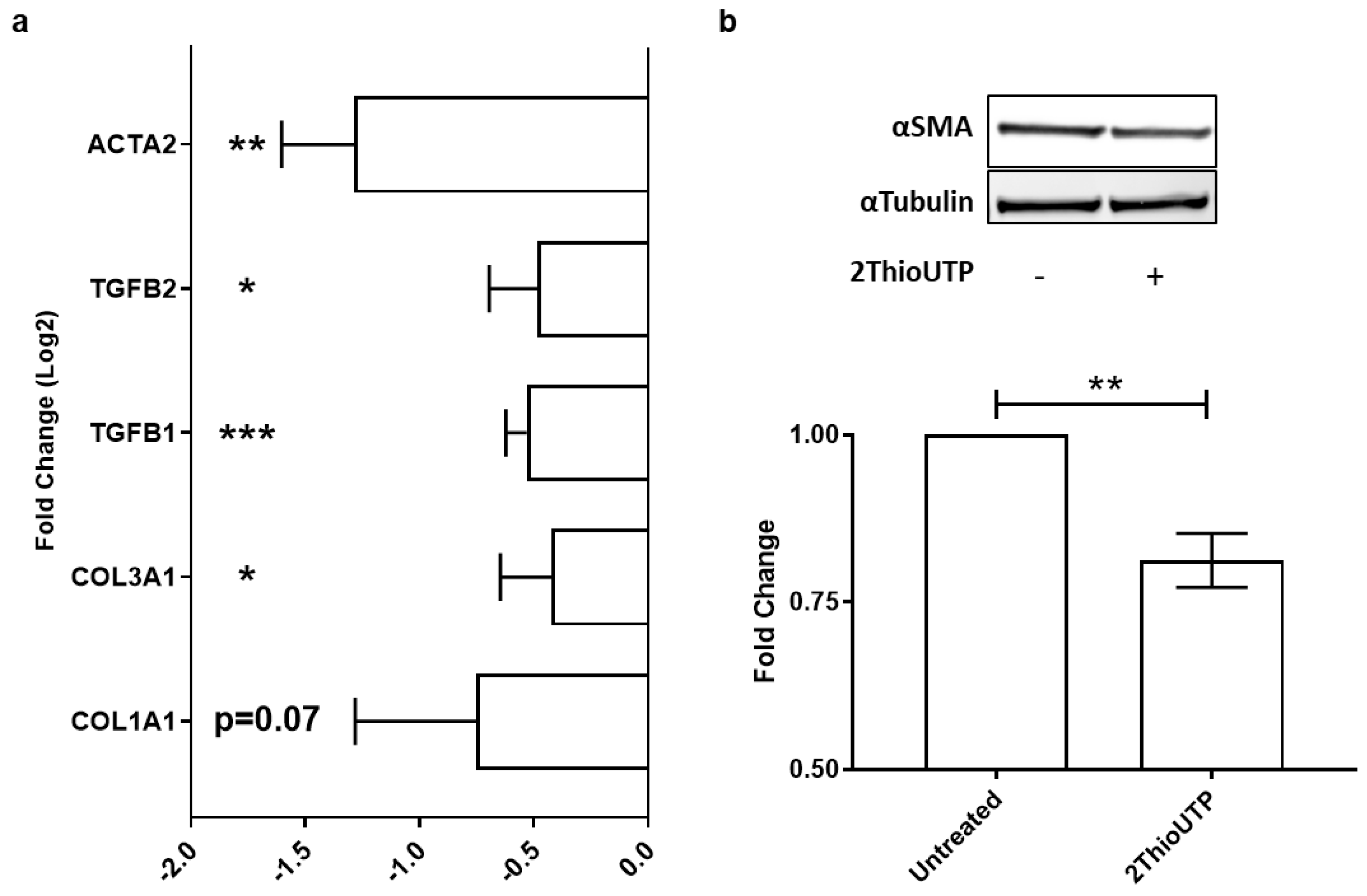 Biomedicines 10 00457 g003
