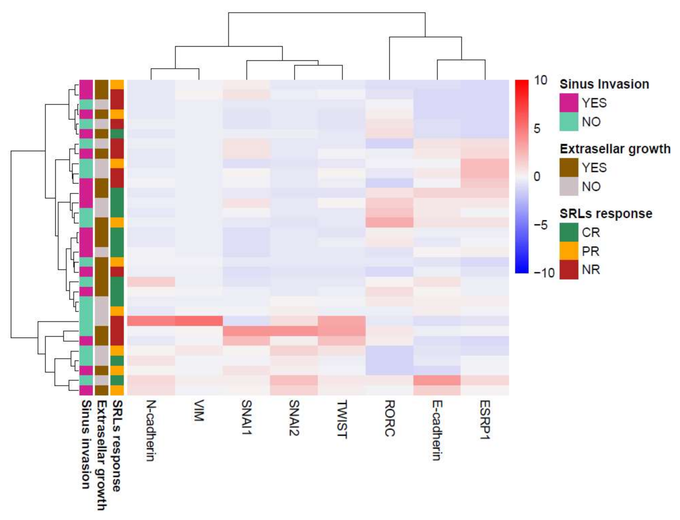 Biomedicines Free Full Text Implications Of Heterogeneity Of Epithelial Mesenchymal States In Acromegaly Therapeutic Pharmacologic Response Html