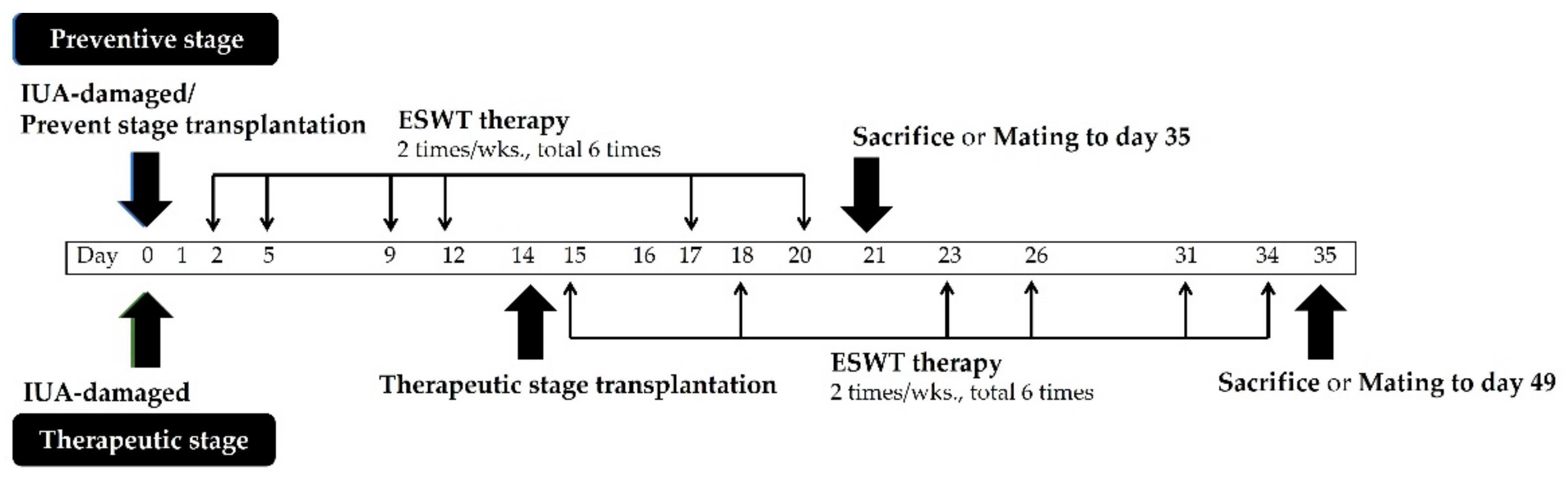 Biomedicines | Free Full-Text | Extracorporeal Shock Wave Therapy