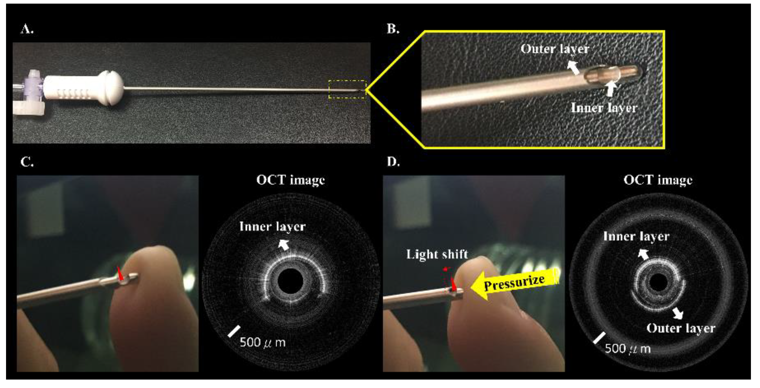 Biomedicines 10 00485 g002