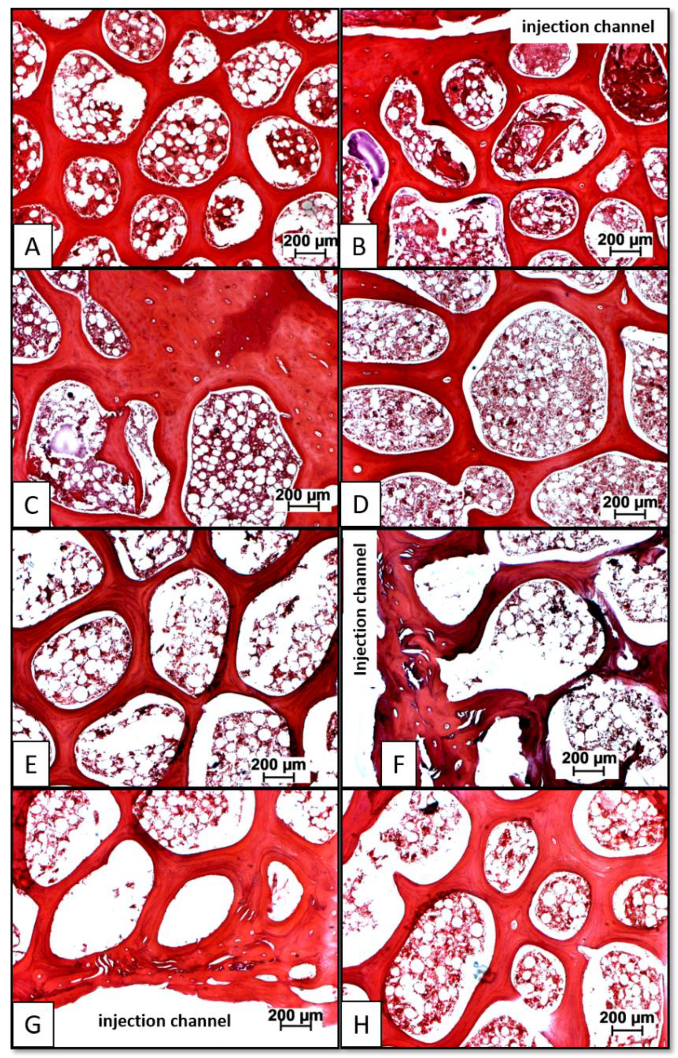Biomedicines 10 00513 g005