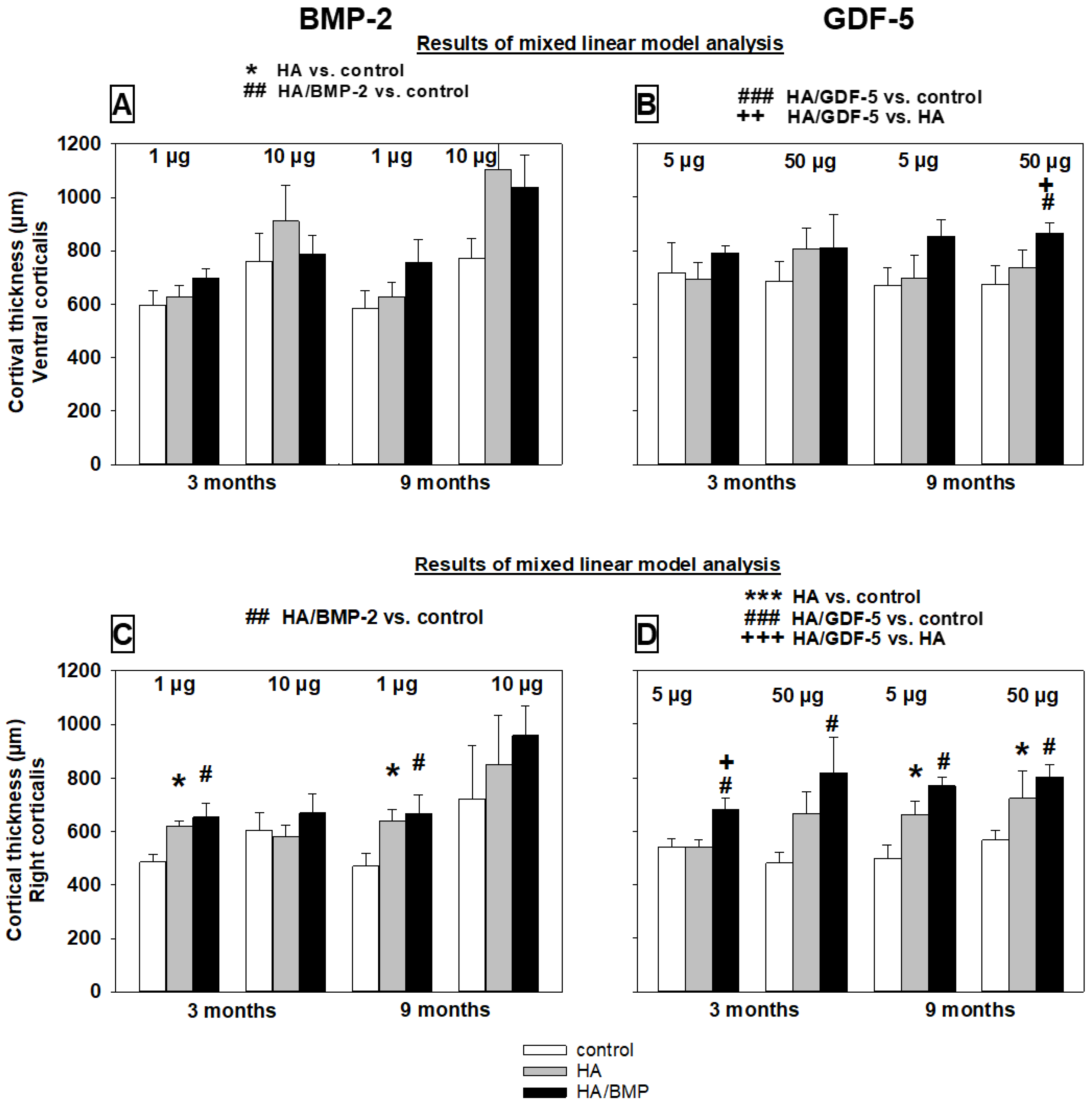 Biomedicines 10 00513 g009