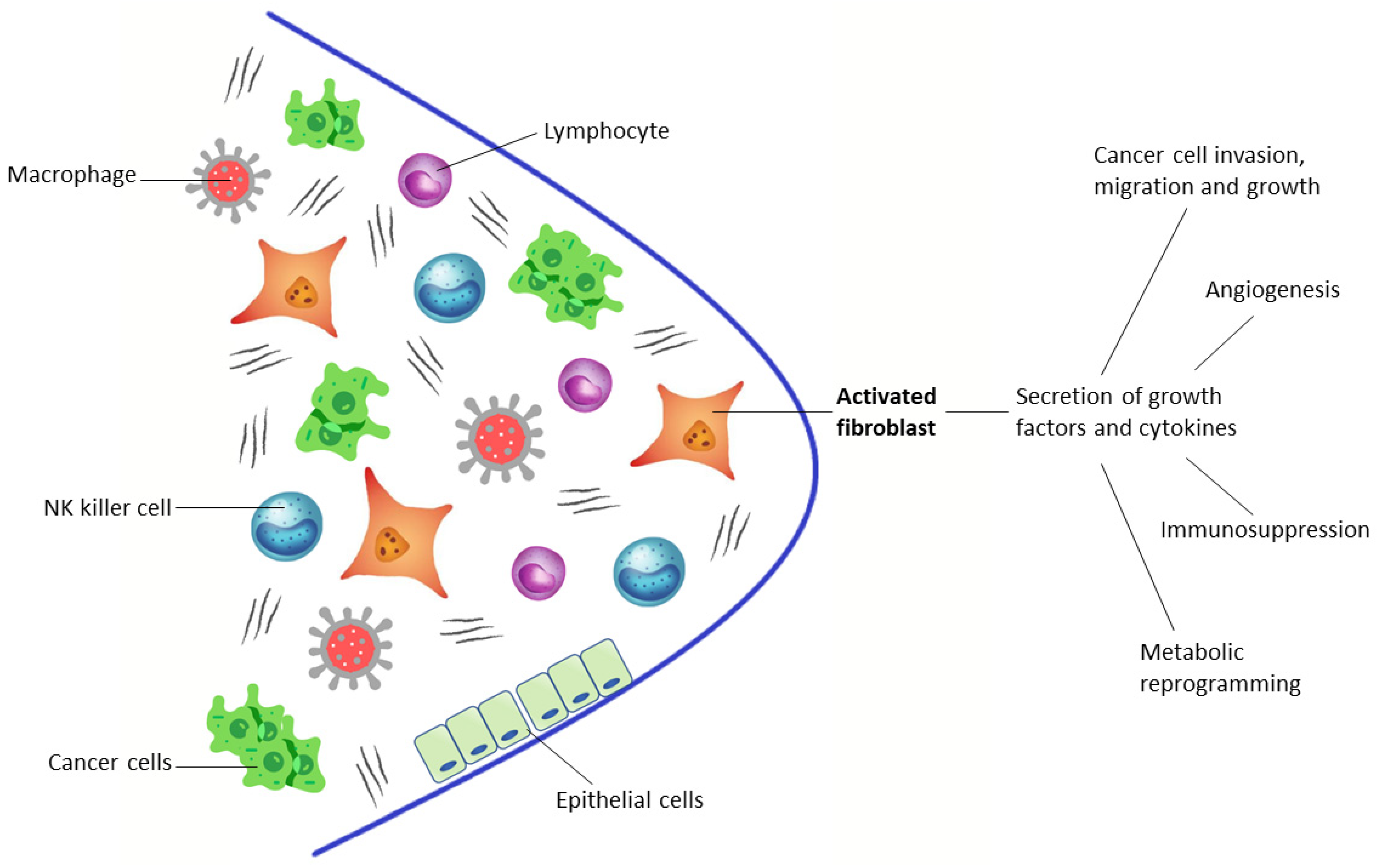 PET Imaging of Fibroblast Activation Protein in Various Types of Cancer  Using 68Ga-FAP-2286: Comparison with 18F-FDG and 68Ga-FAPI-46 in a  Single-Center, Prospective Study