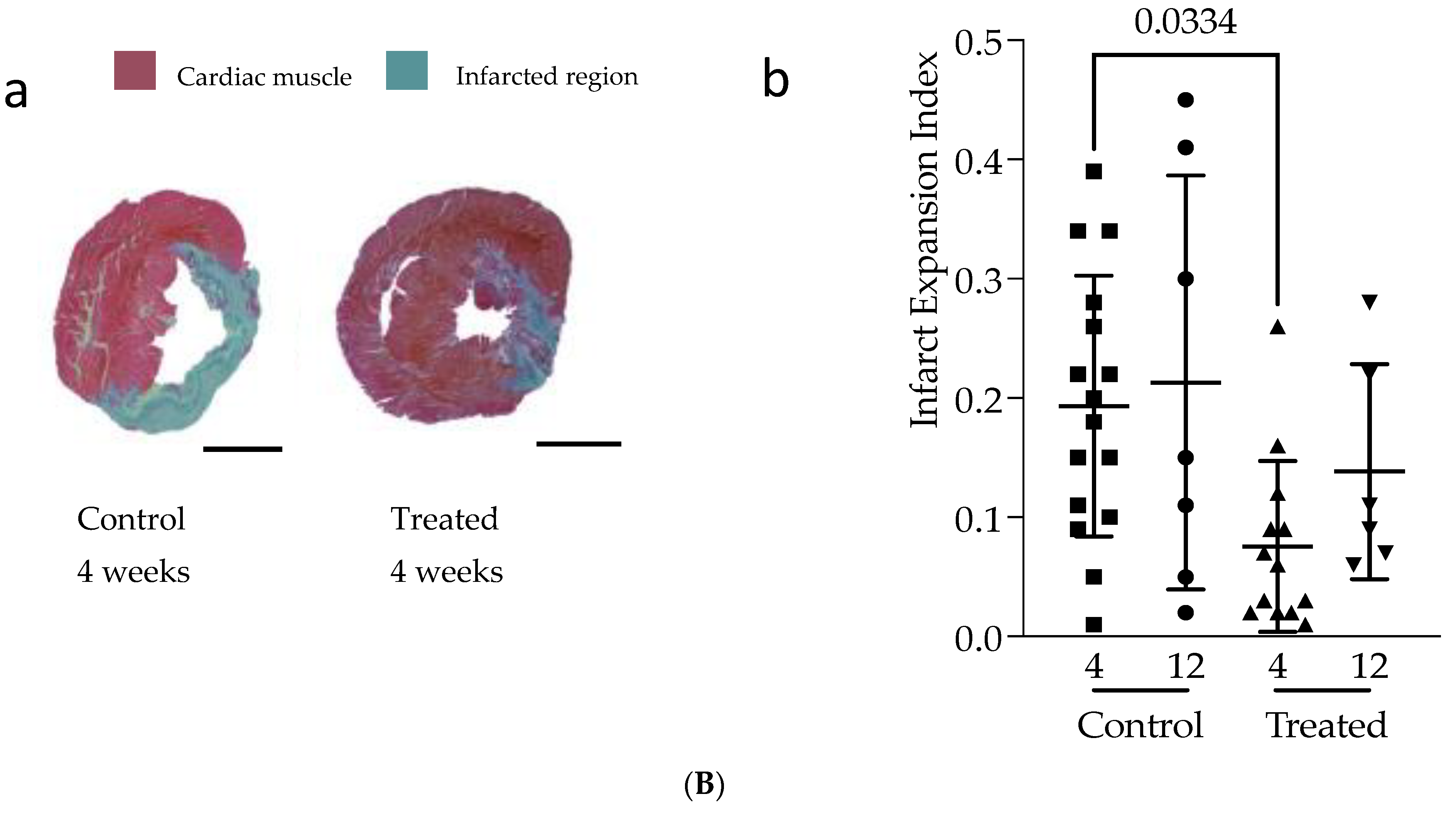 Biomedicines 10 00527 g001b