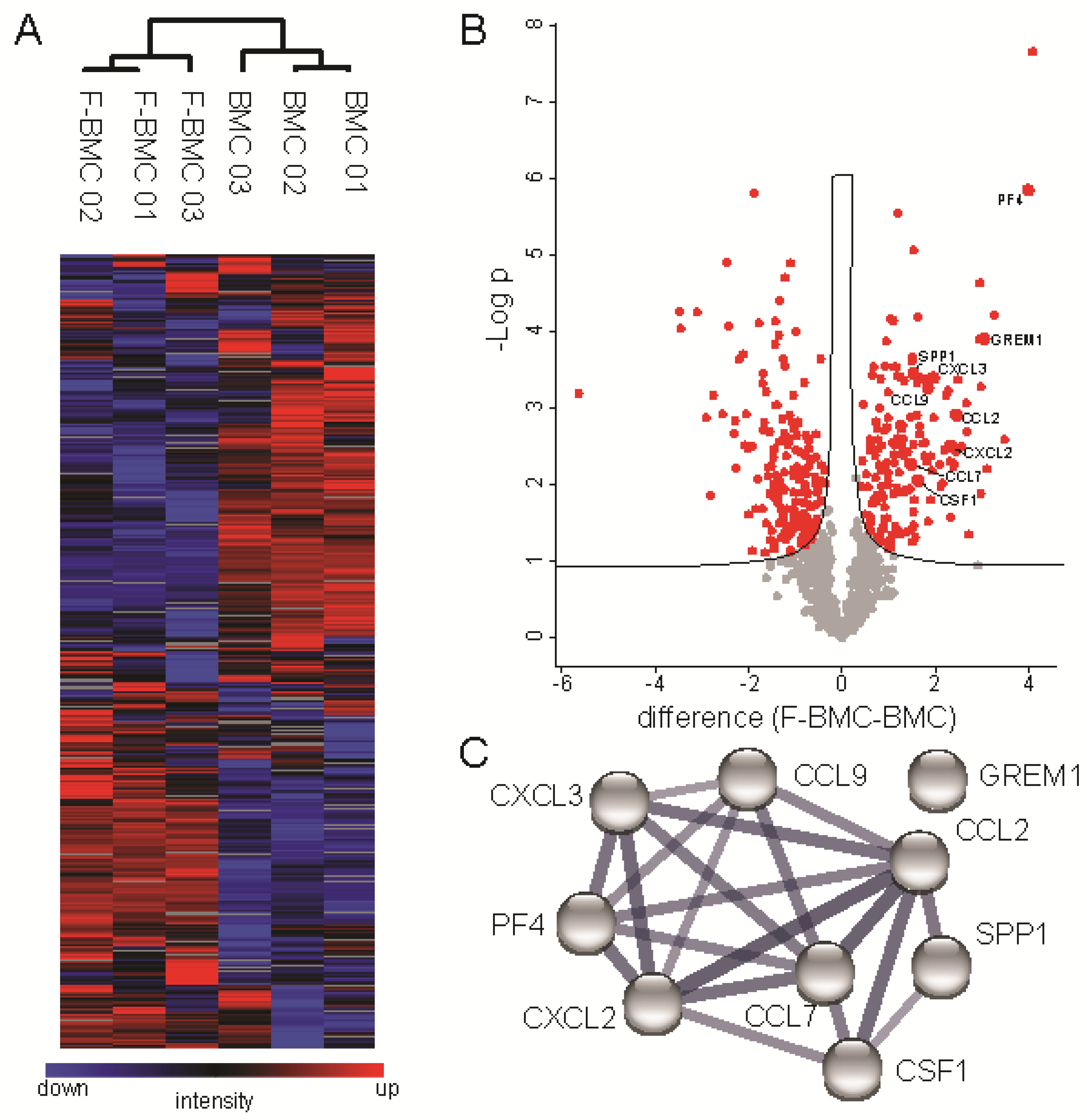 Biomedicines 10 00527 g004