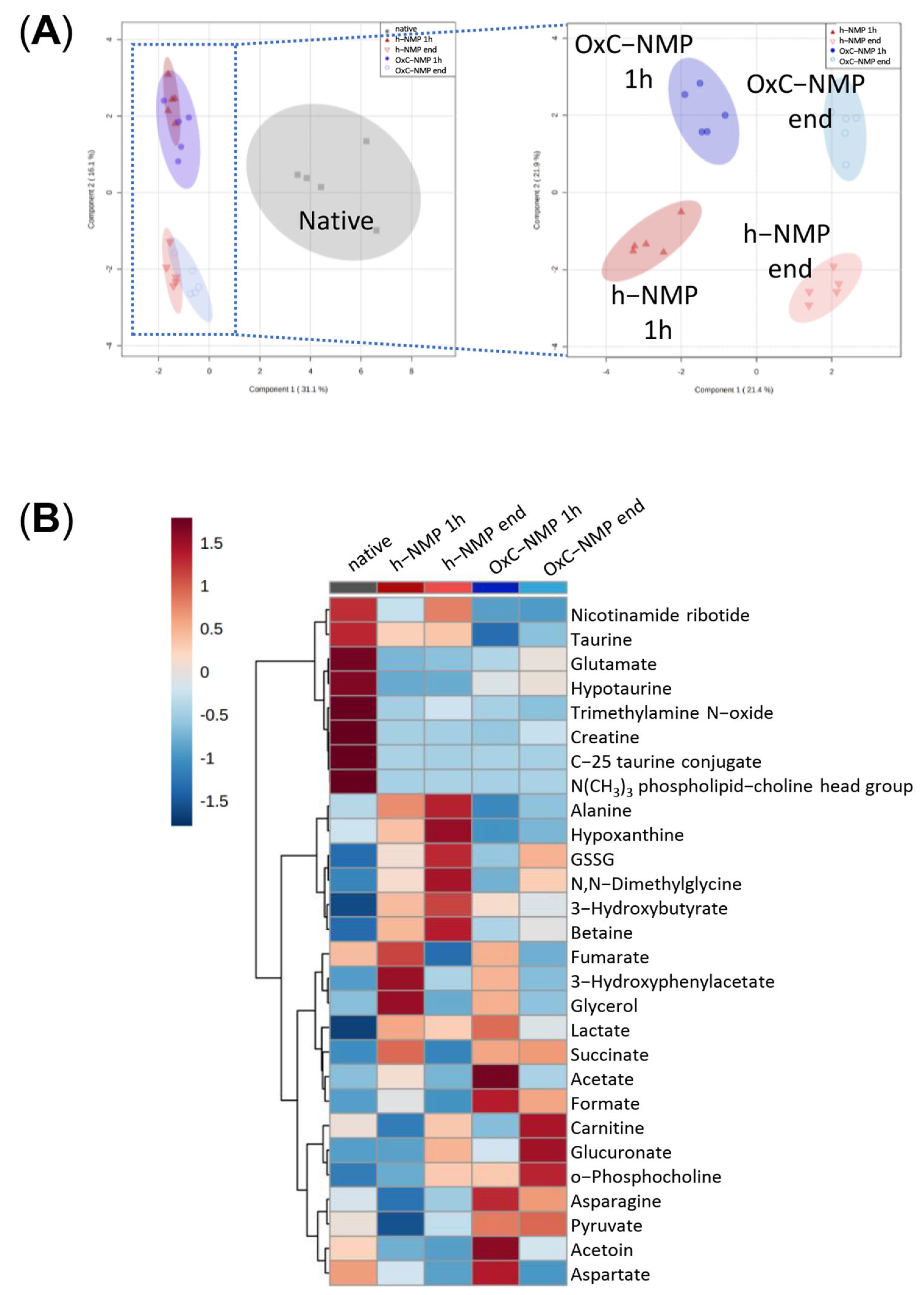 Biomedicines 10 00538 g004