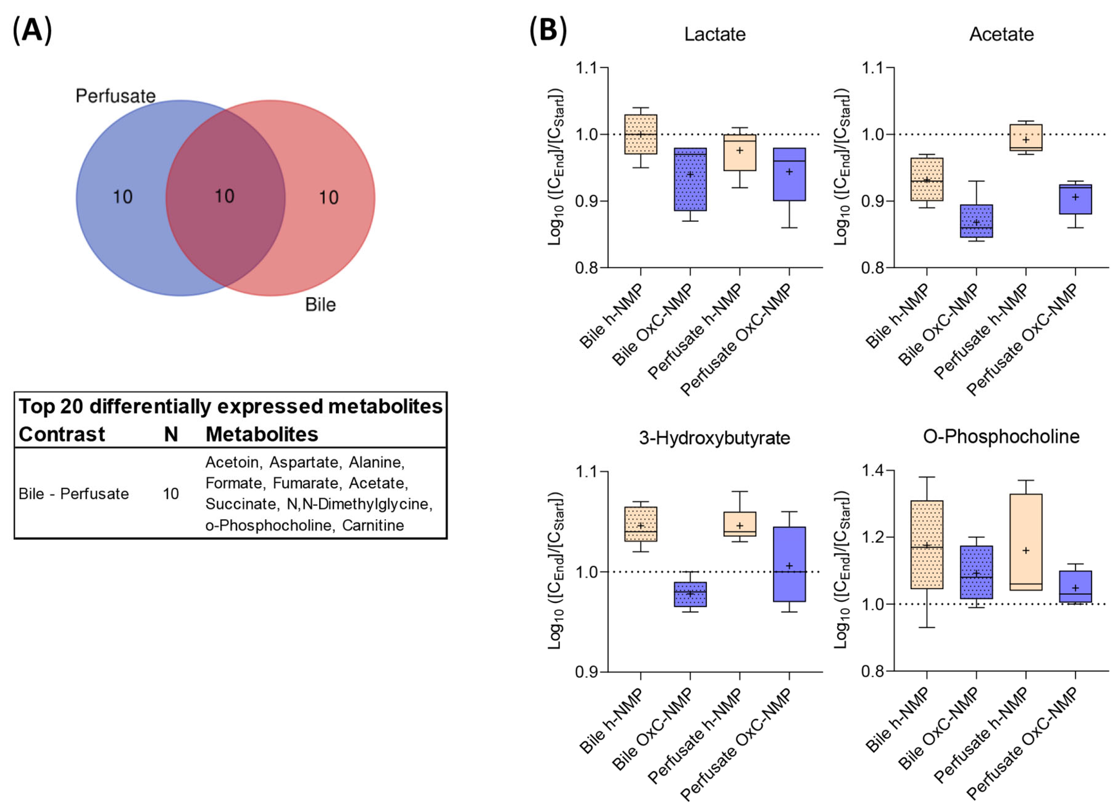 Biomedicines 10 00538 g005