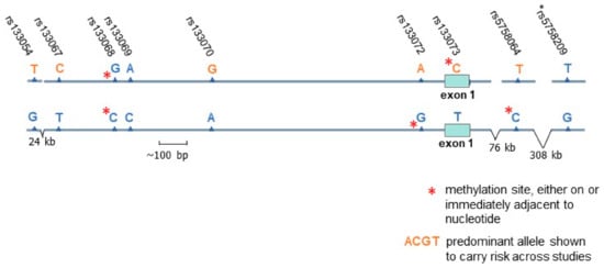 Biomedicines | Free Full-Text | The Epigenetics of Psychosis: A