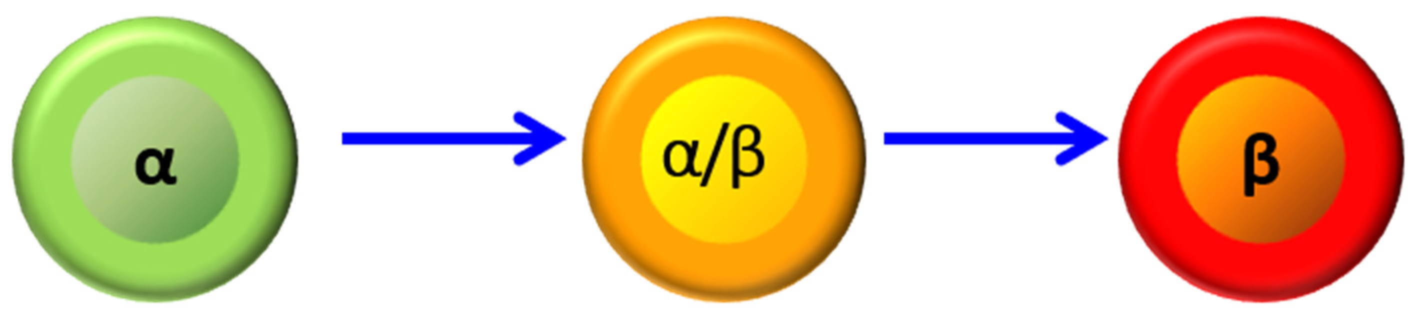 Biomedicines 10 00571 g001