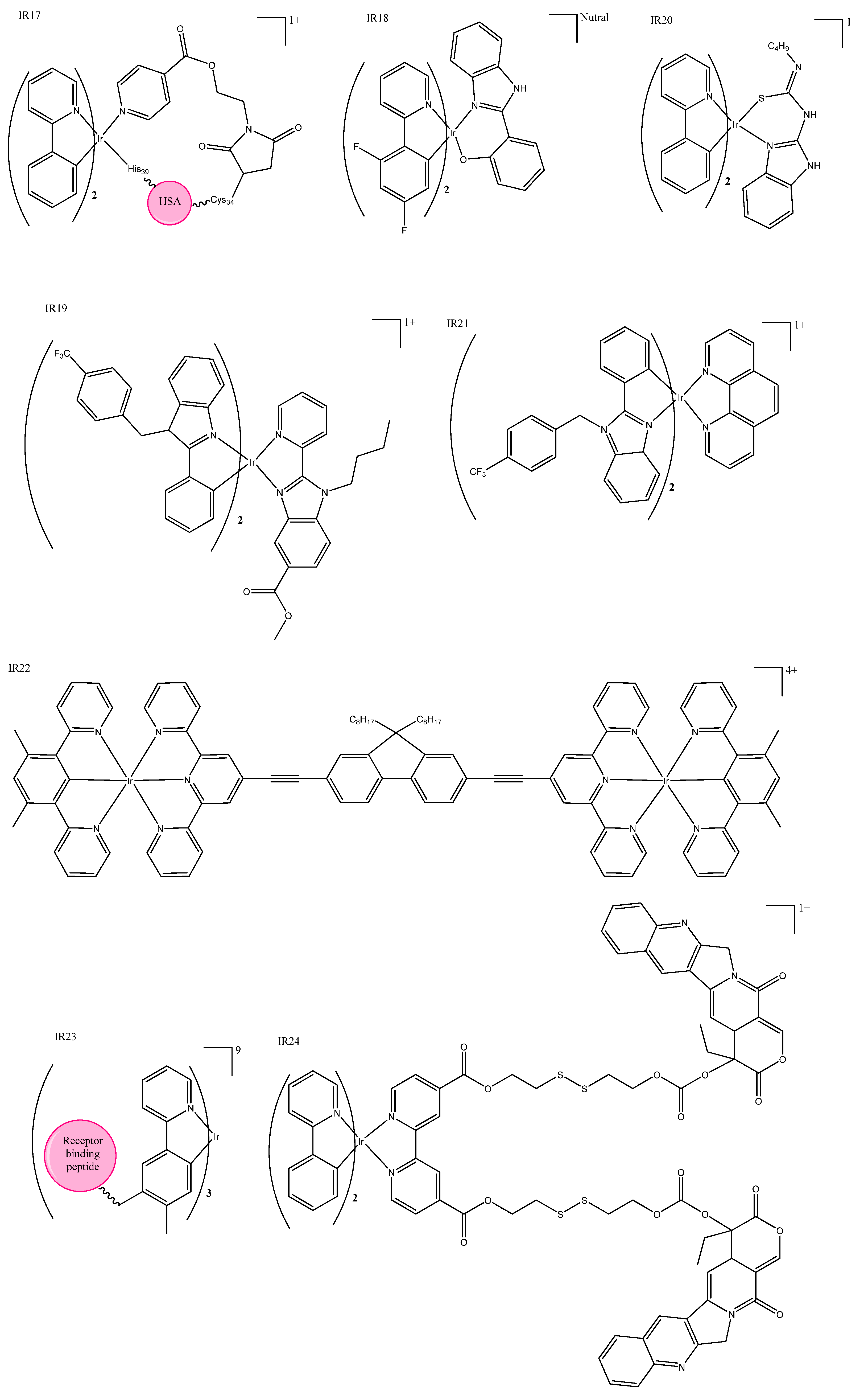 Biomedicines 10 00578 g004