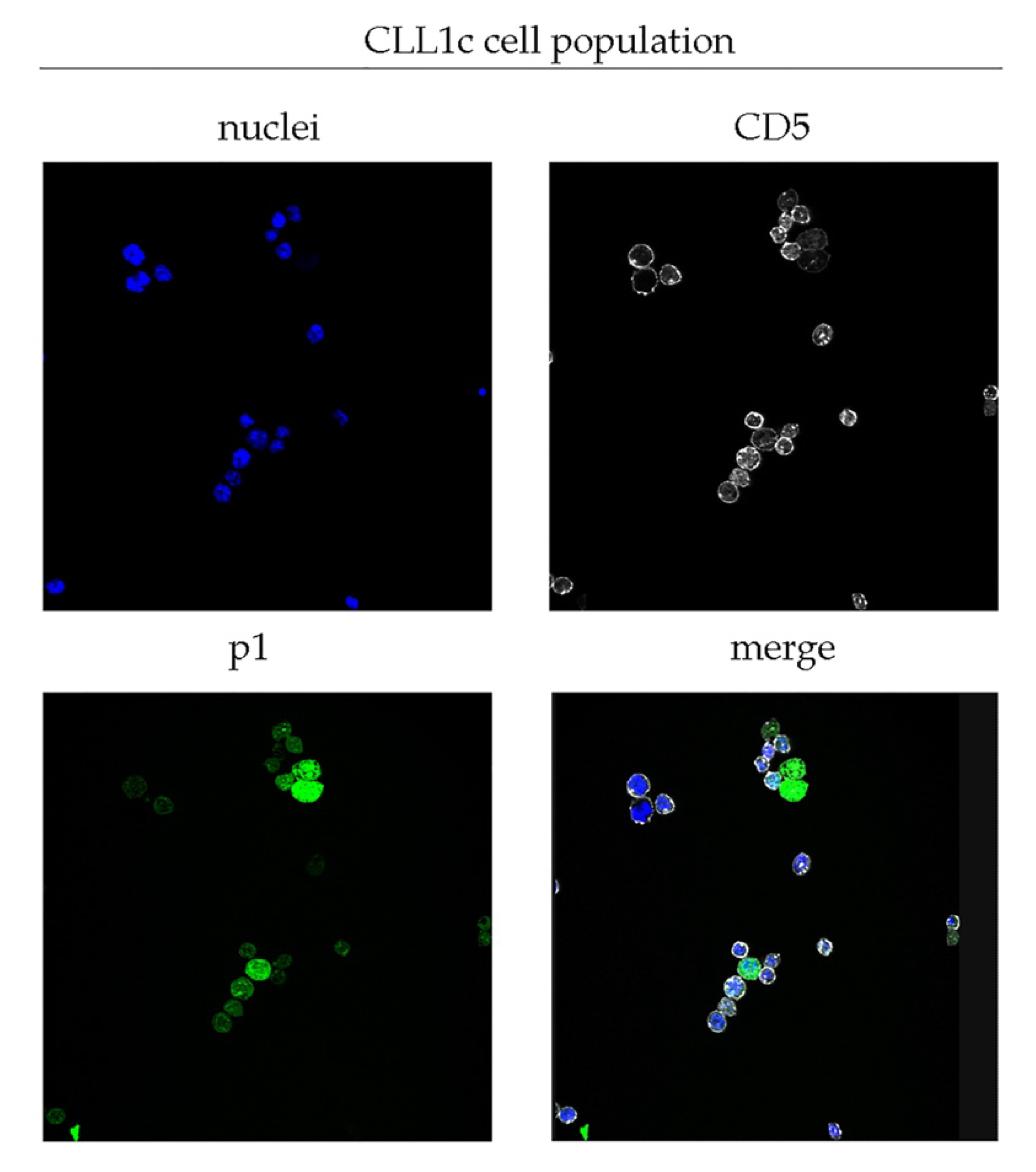 Biomedicines 10 00604 g001 Biomedicines 10 00604 g001
