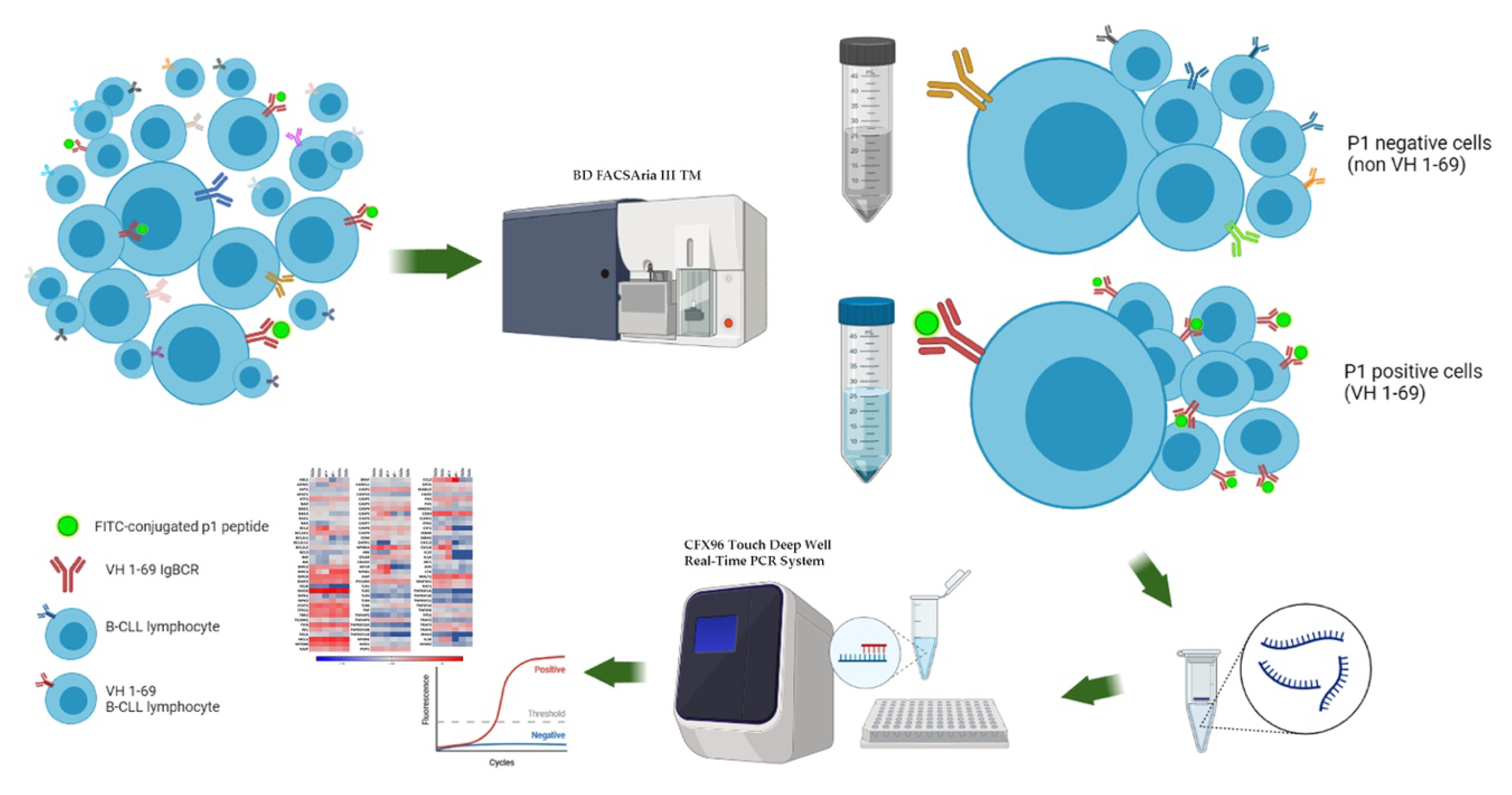Biomedicines 10 00604 g002 Biomedicines 10 00604 g002