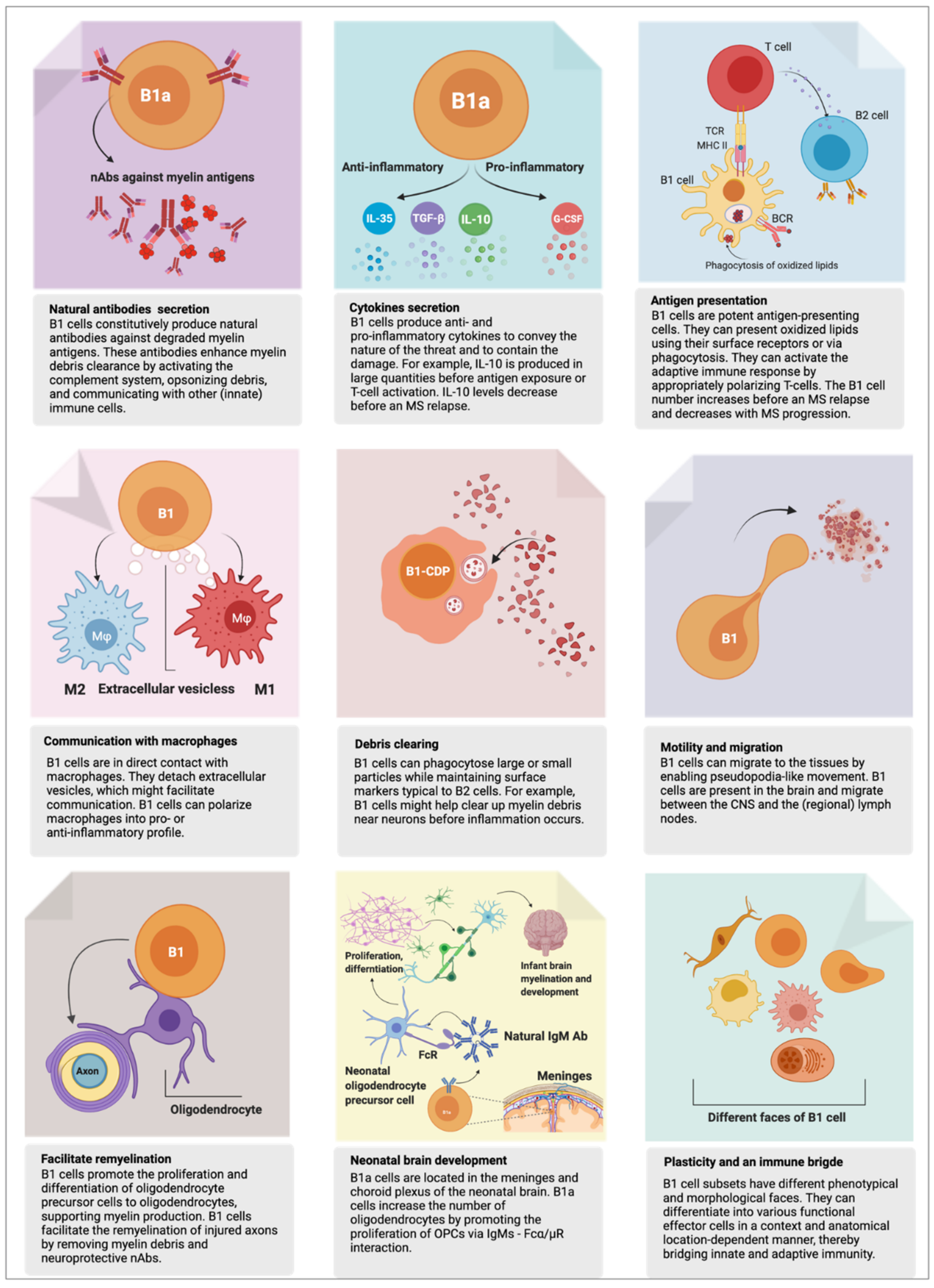 Biomedicines 10 00606 g002