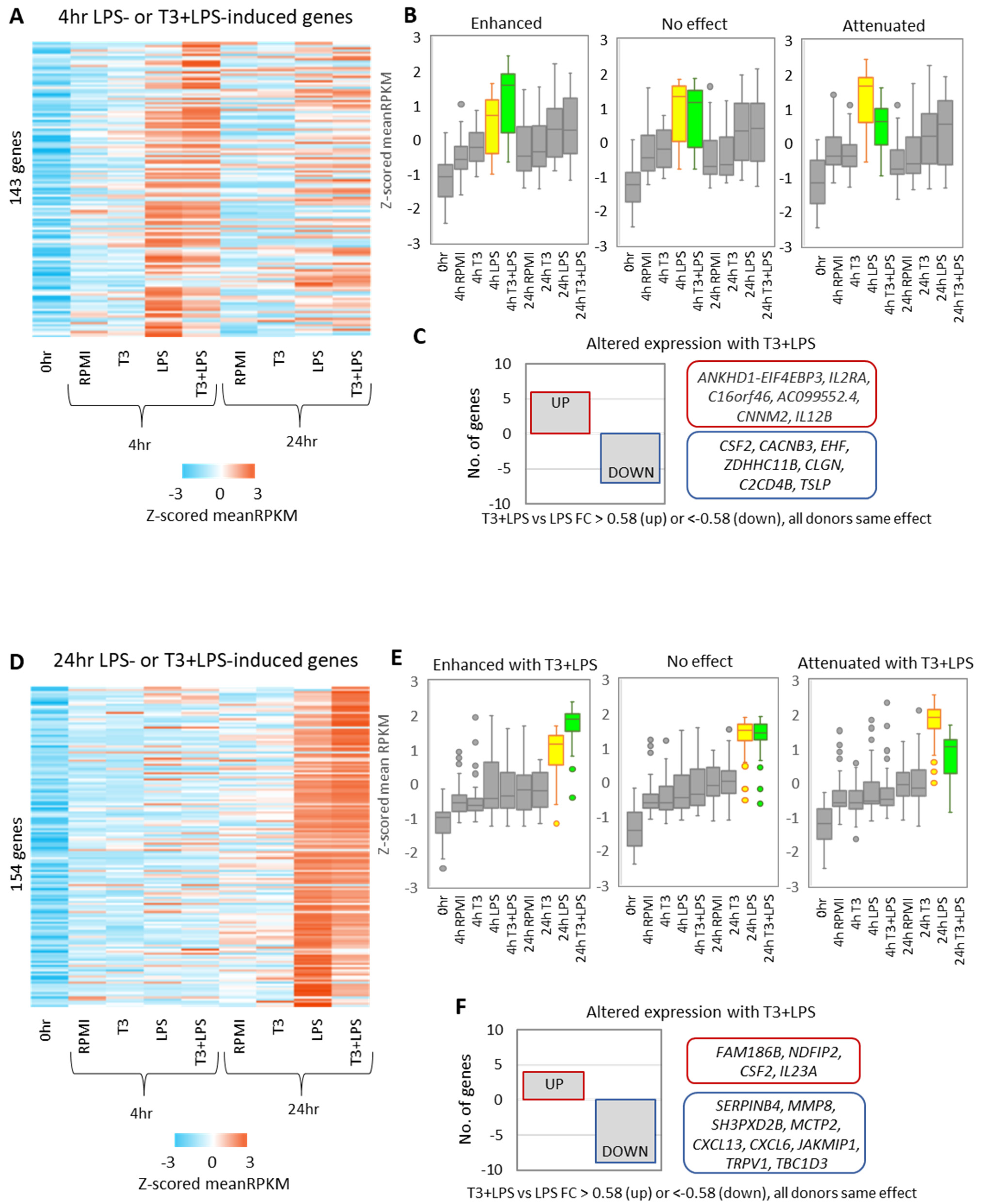 Biomedicines Free Full Text Triiodothyronine T3 Induces