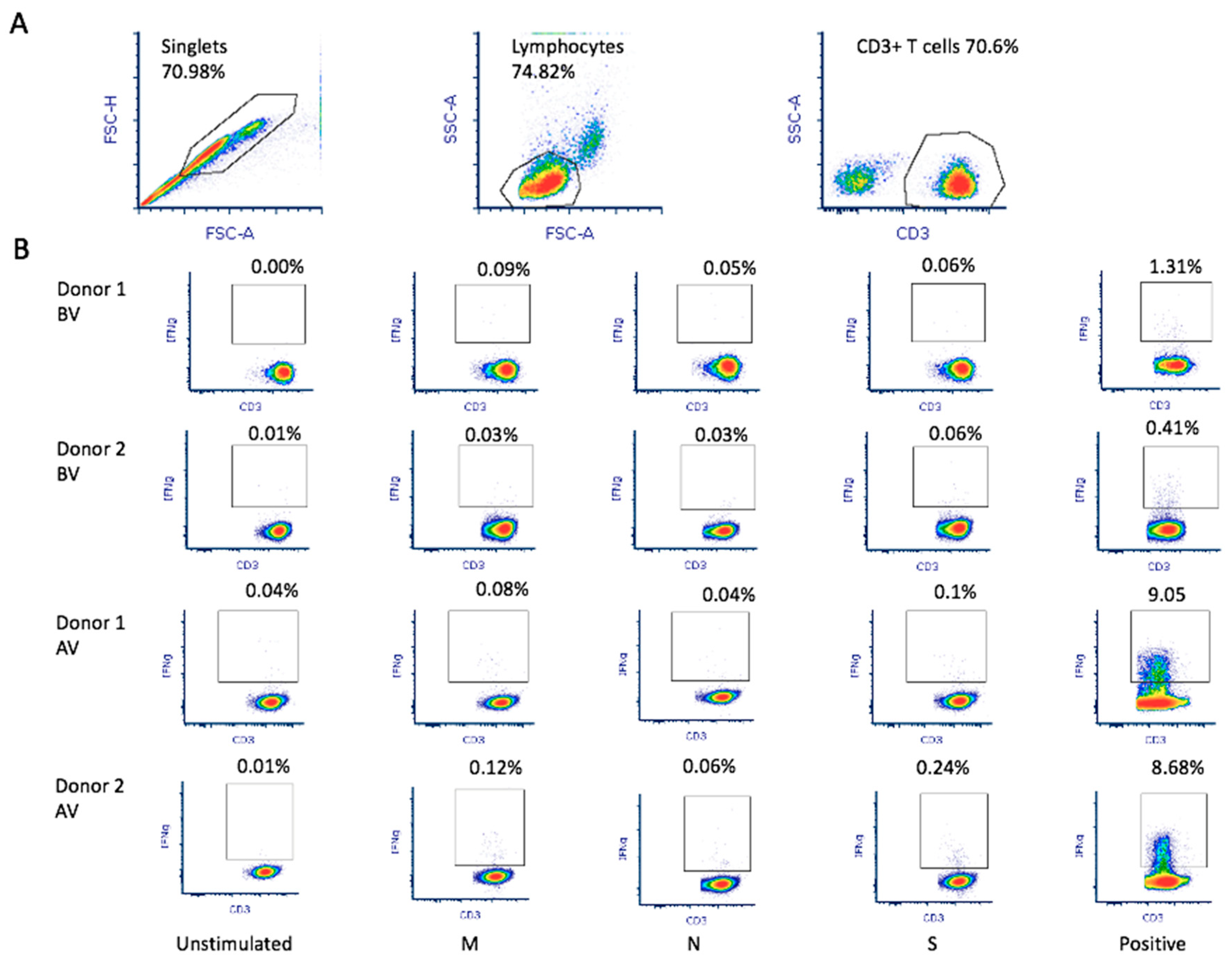 Biomedicines 10 00630 g001