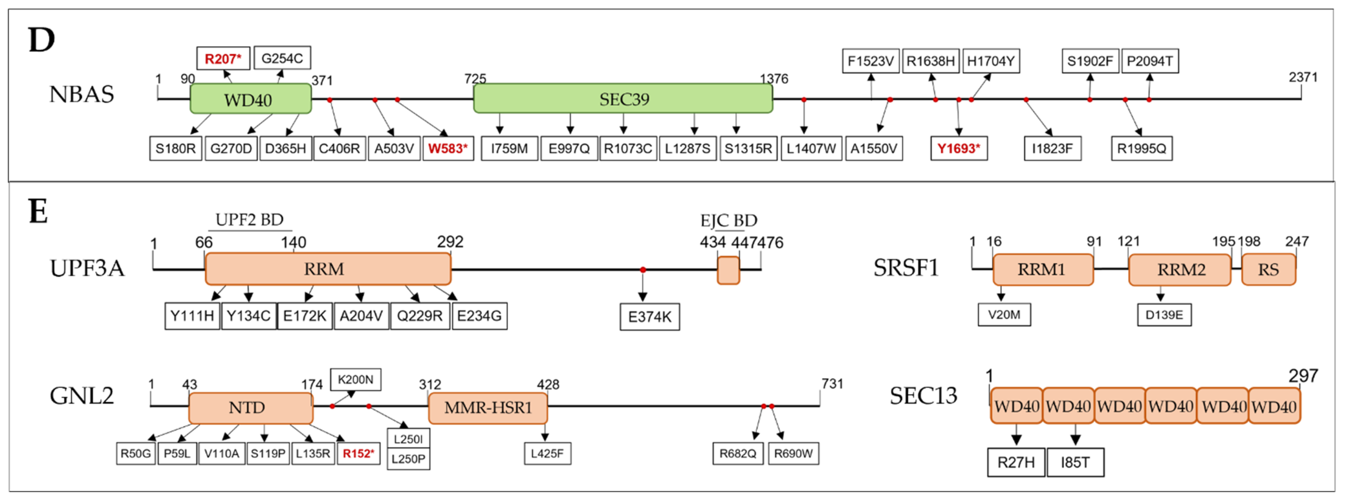 Biomedicines 10 00665 g004b