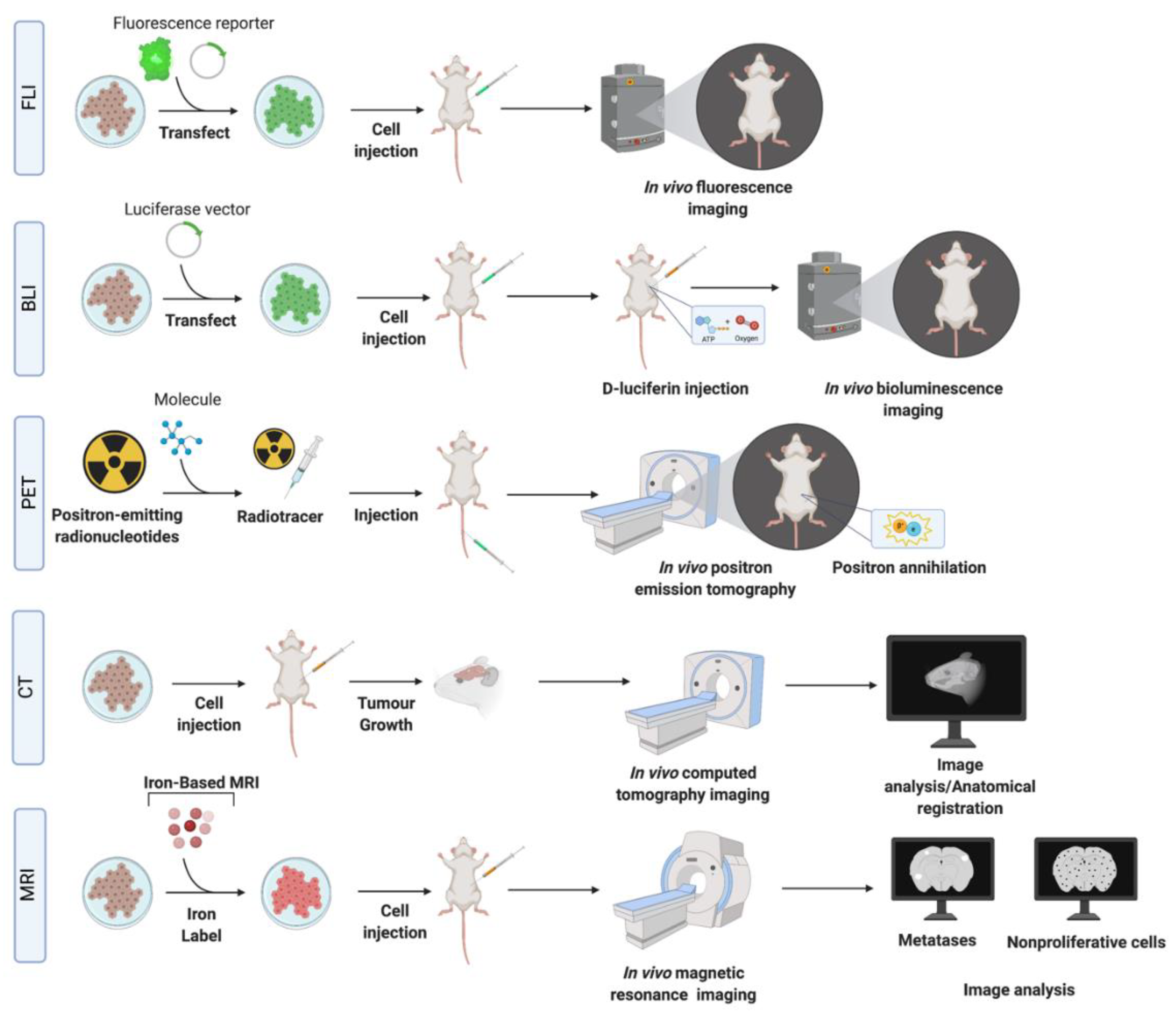 Biomedicines 10 00667 g003 Biomedicines 10 00667 g003