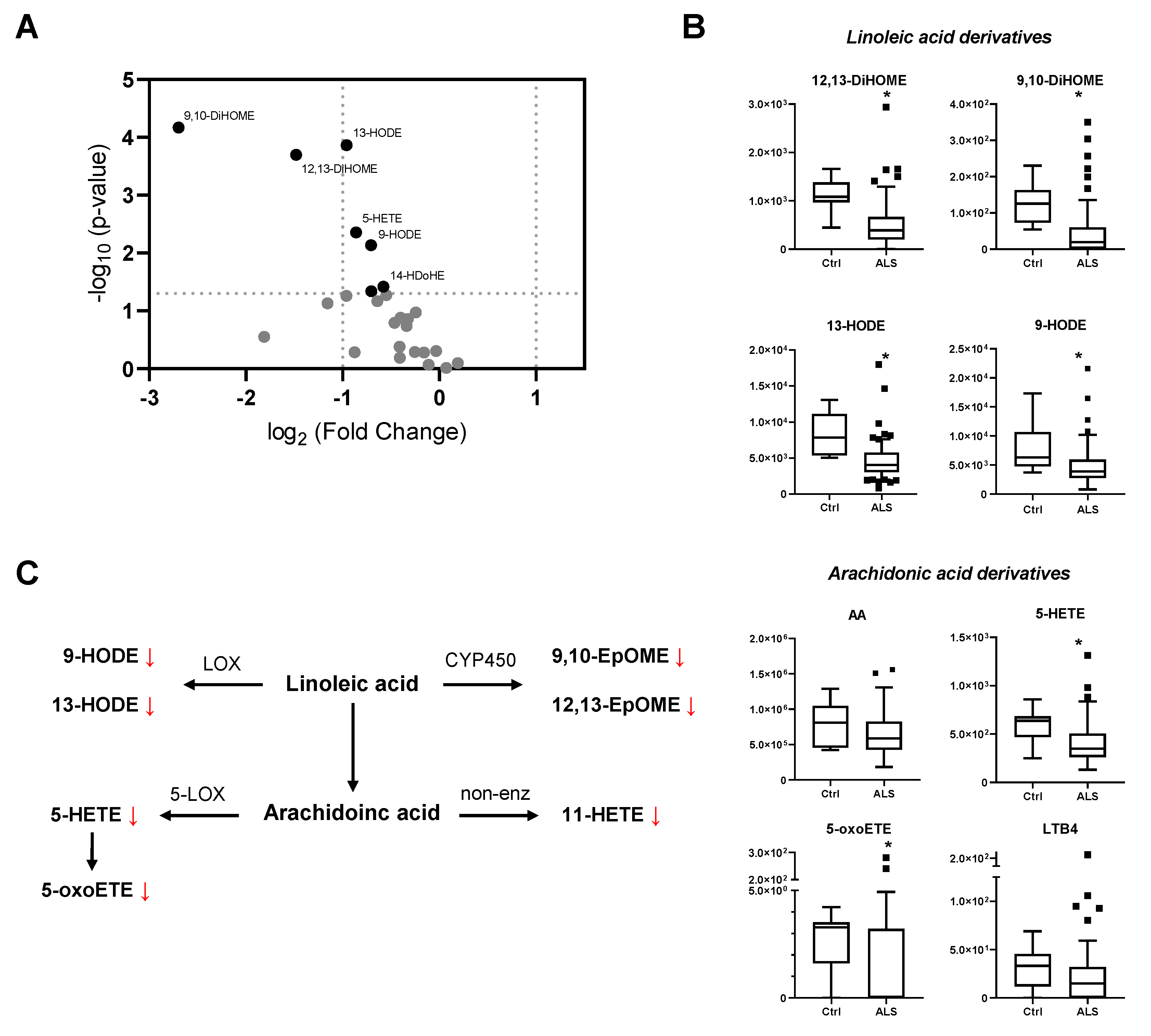 Biomedicines 10 00674 g001