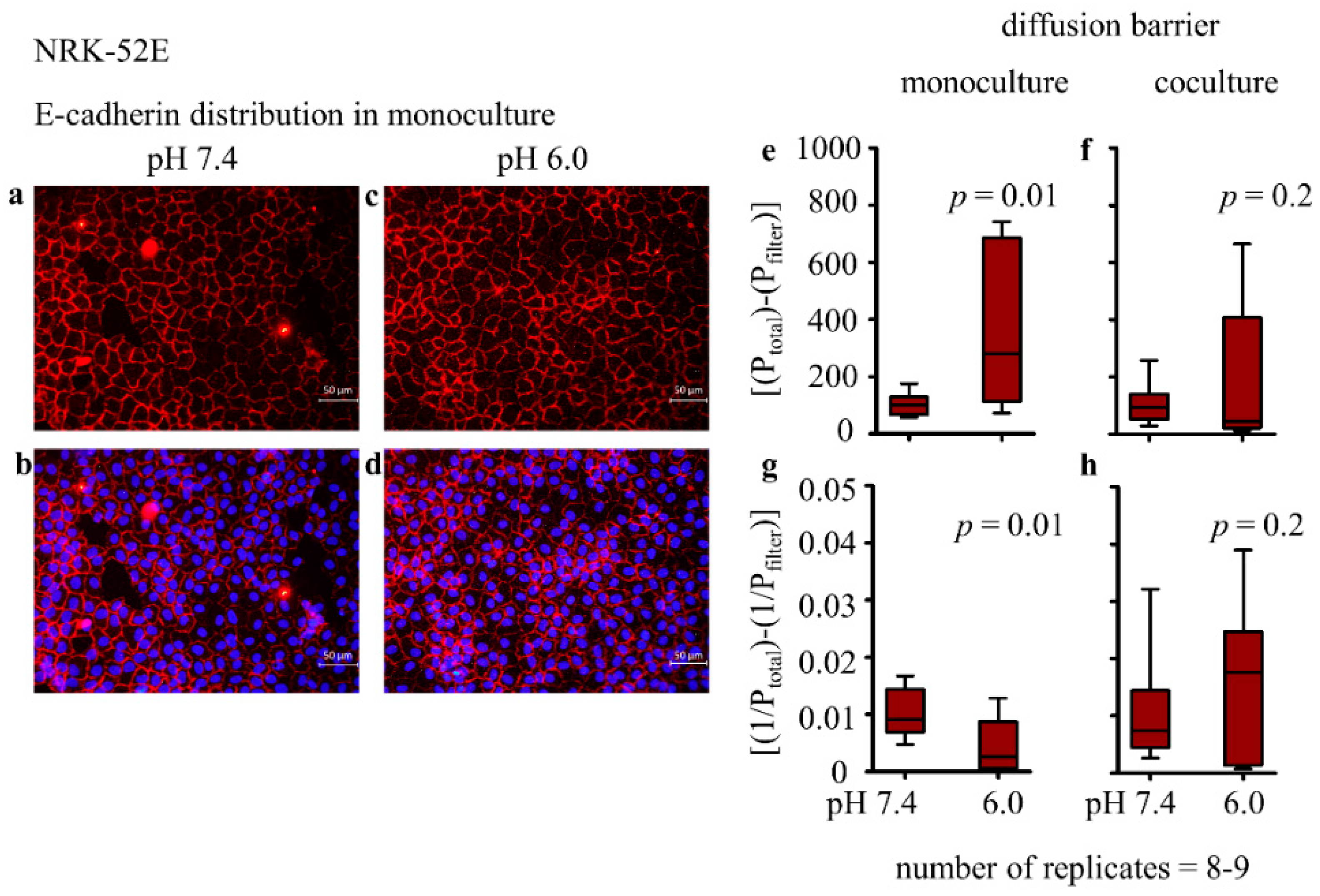 Biomedicines 10 00681 g002