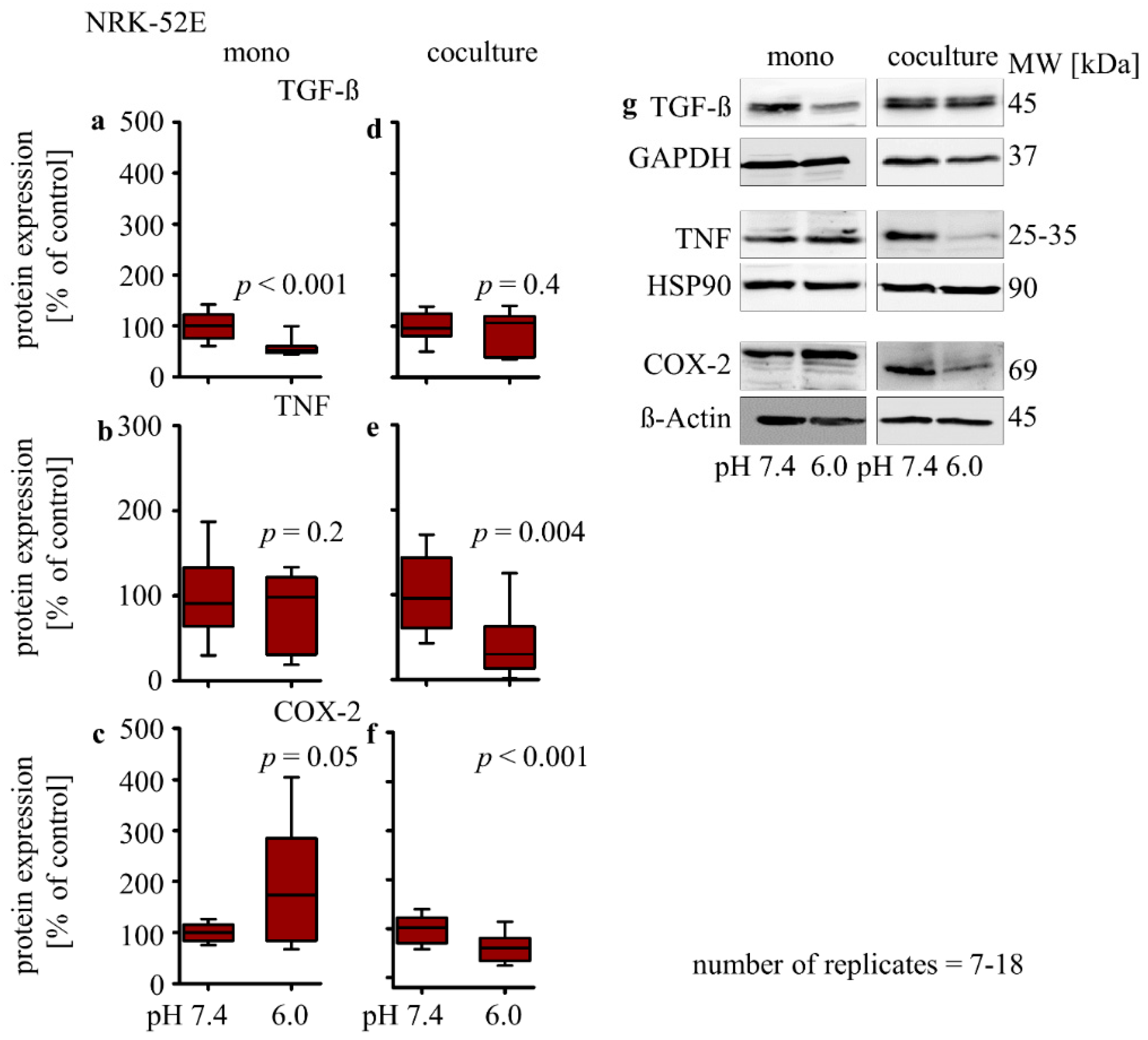 Biomedicines 10 00681 g003