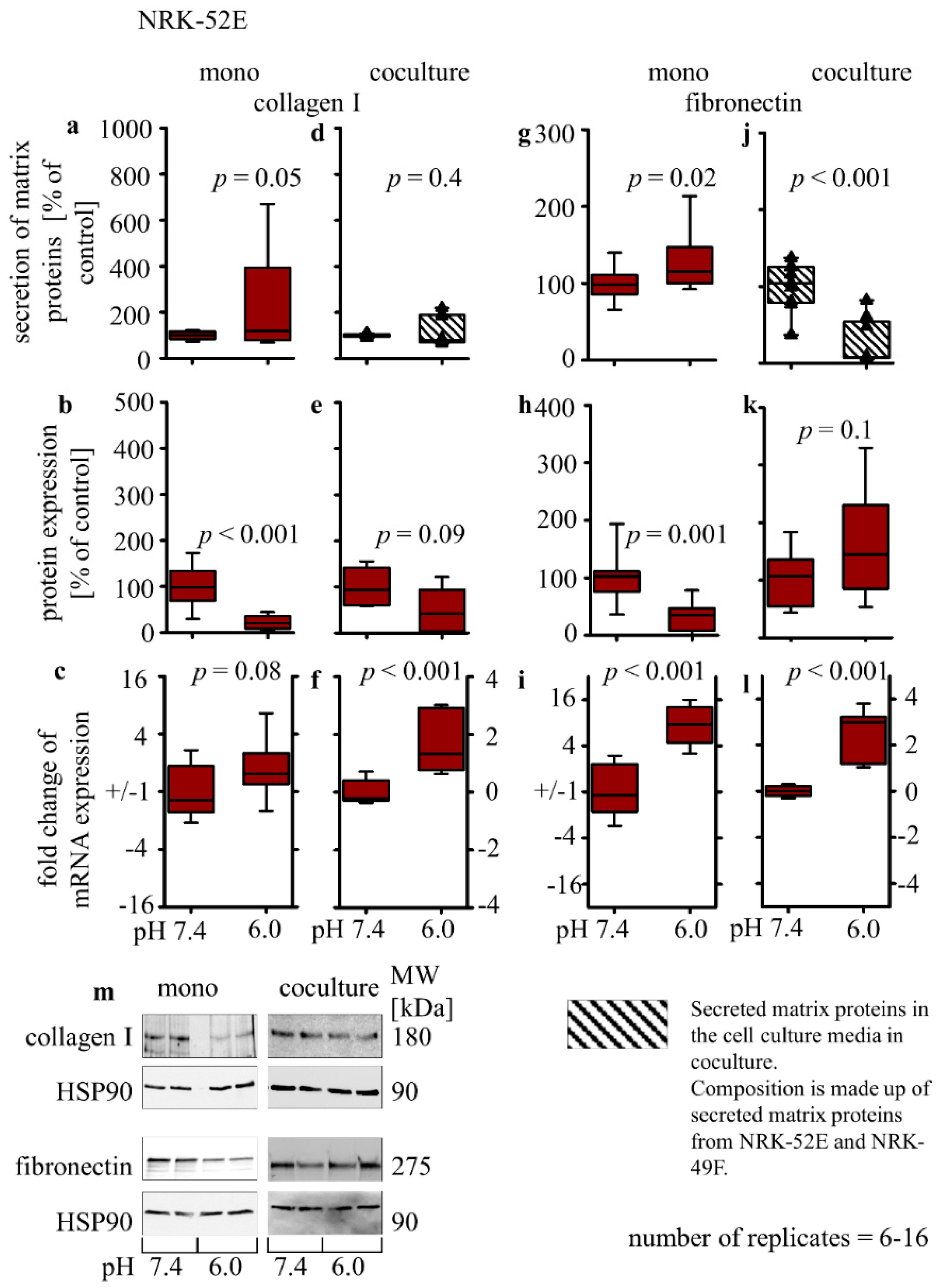 Biomedicines 10 00681 g004
