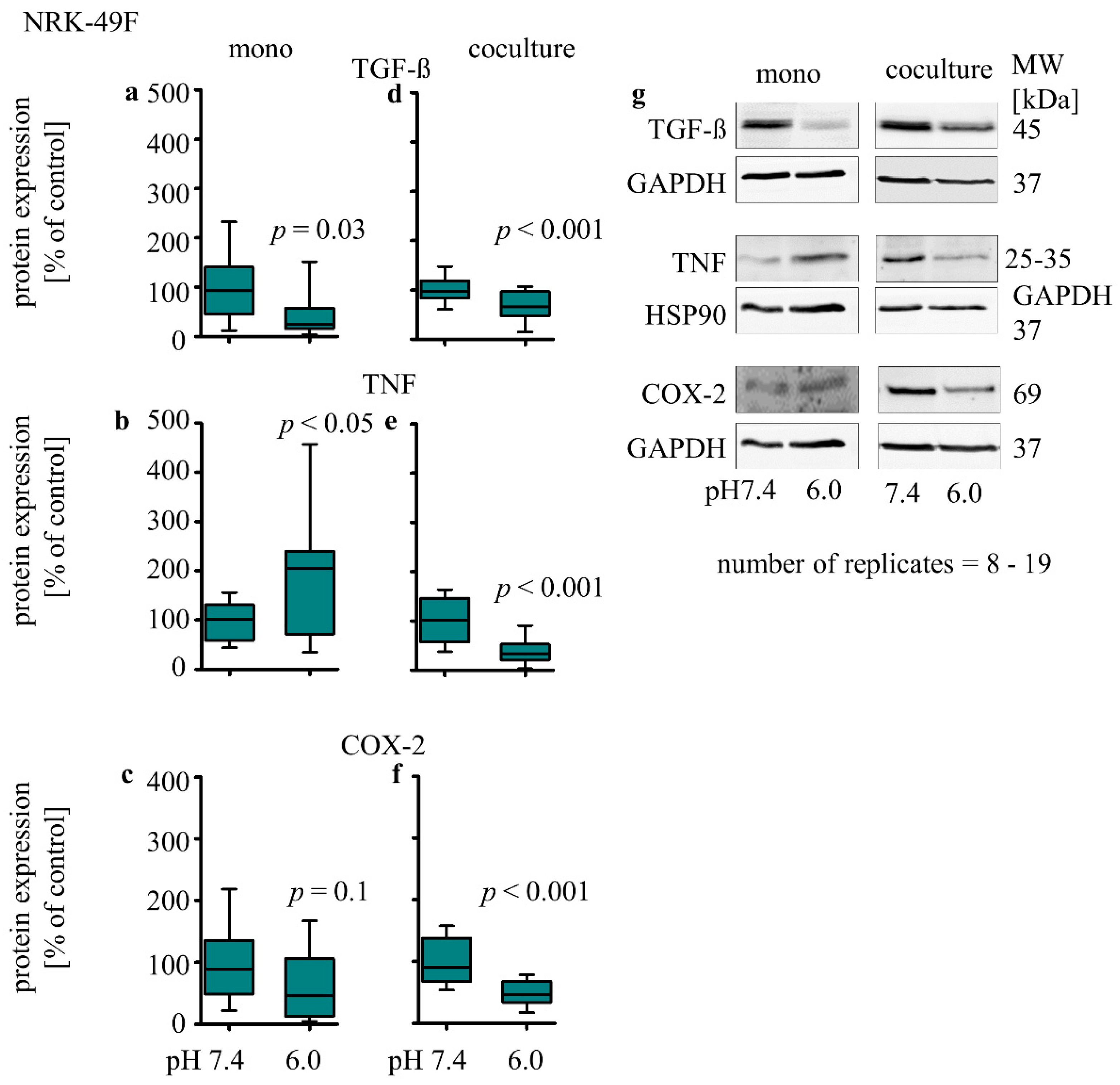 Biomedicines 10 00681 g006