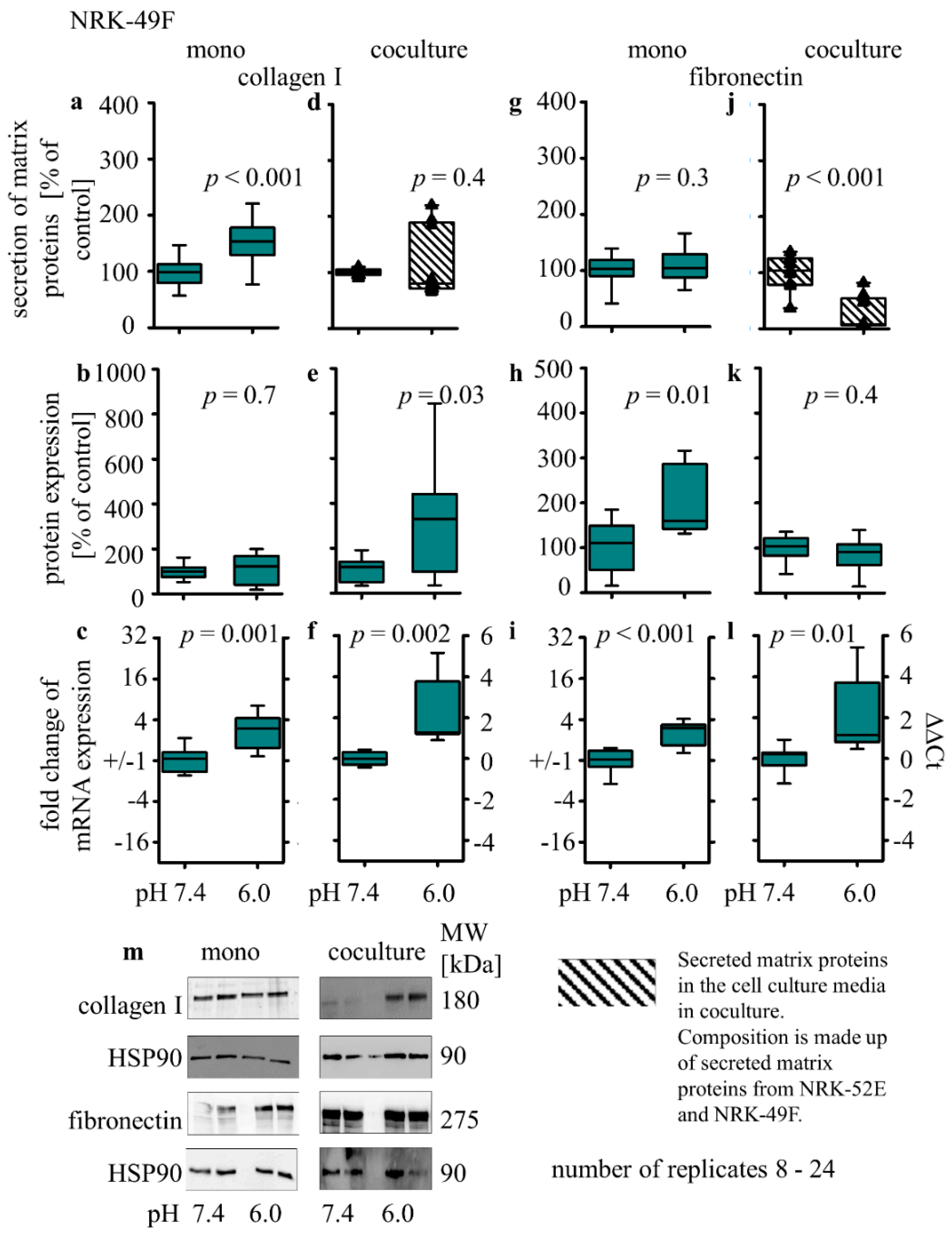 Biomedicines 10 00681 g007