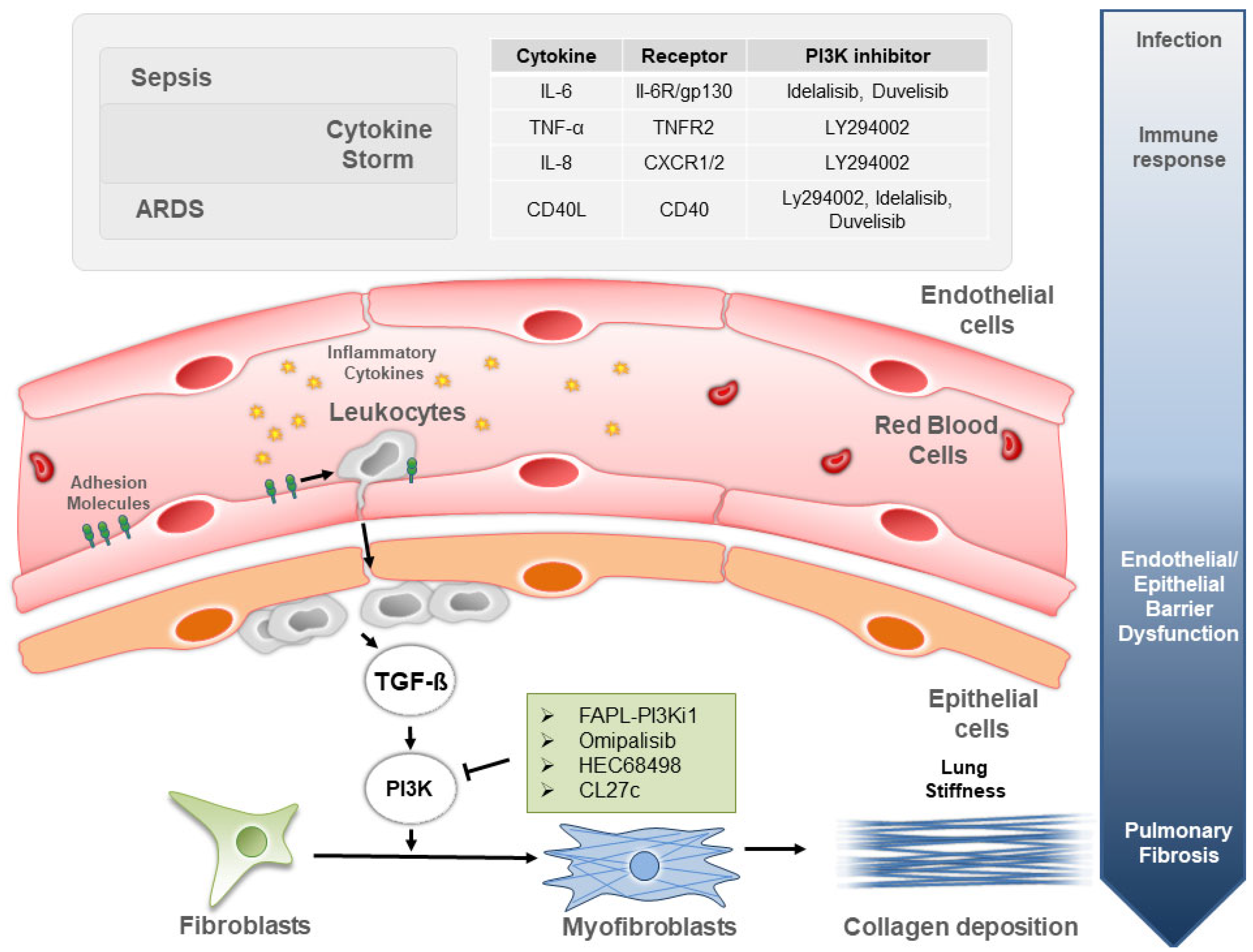 Biomedicines 10 00756 g001