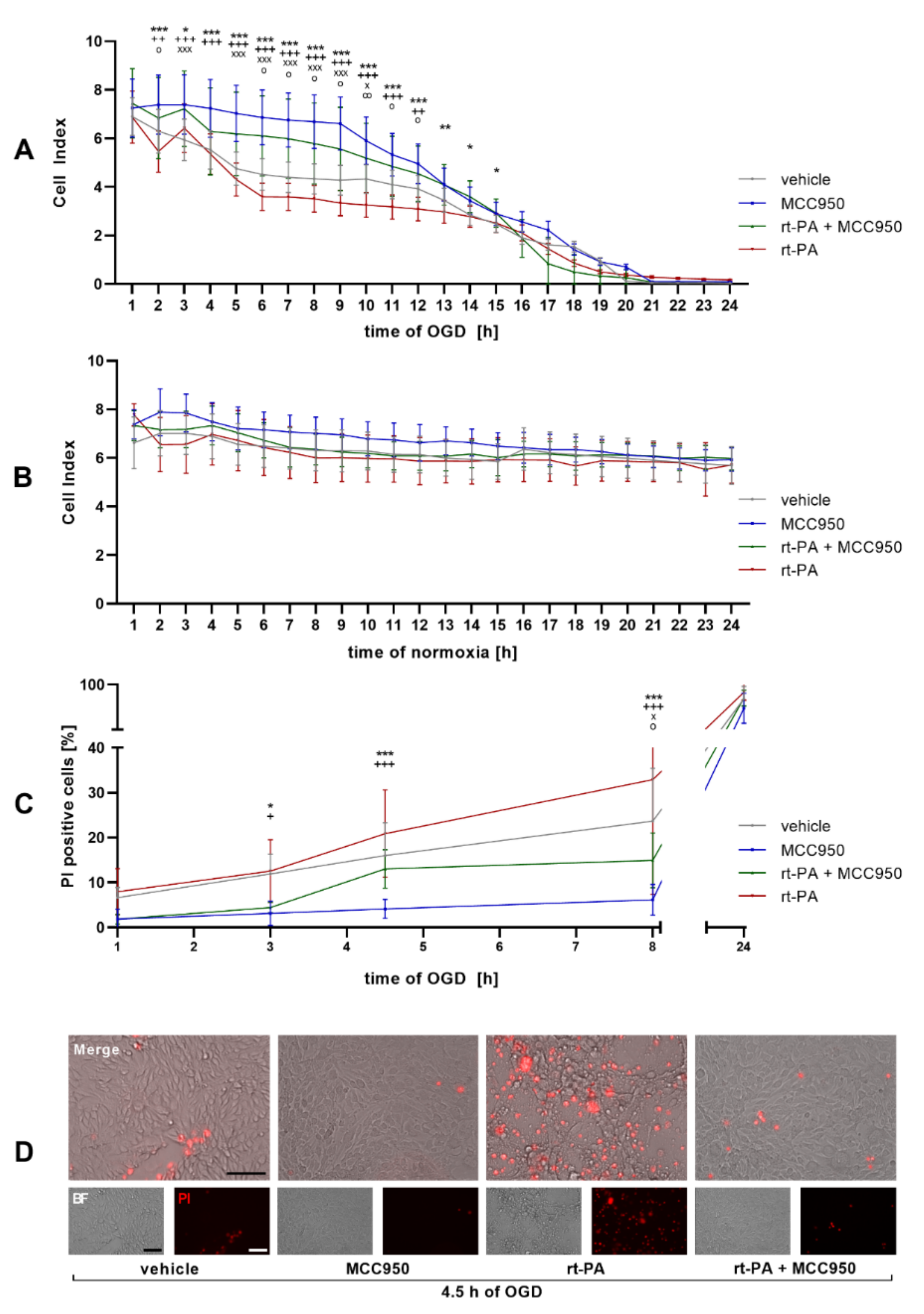 Biomedicines 10 00762 g001