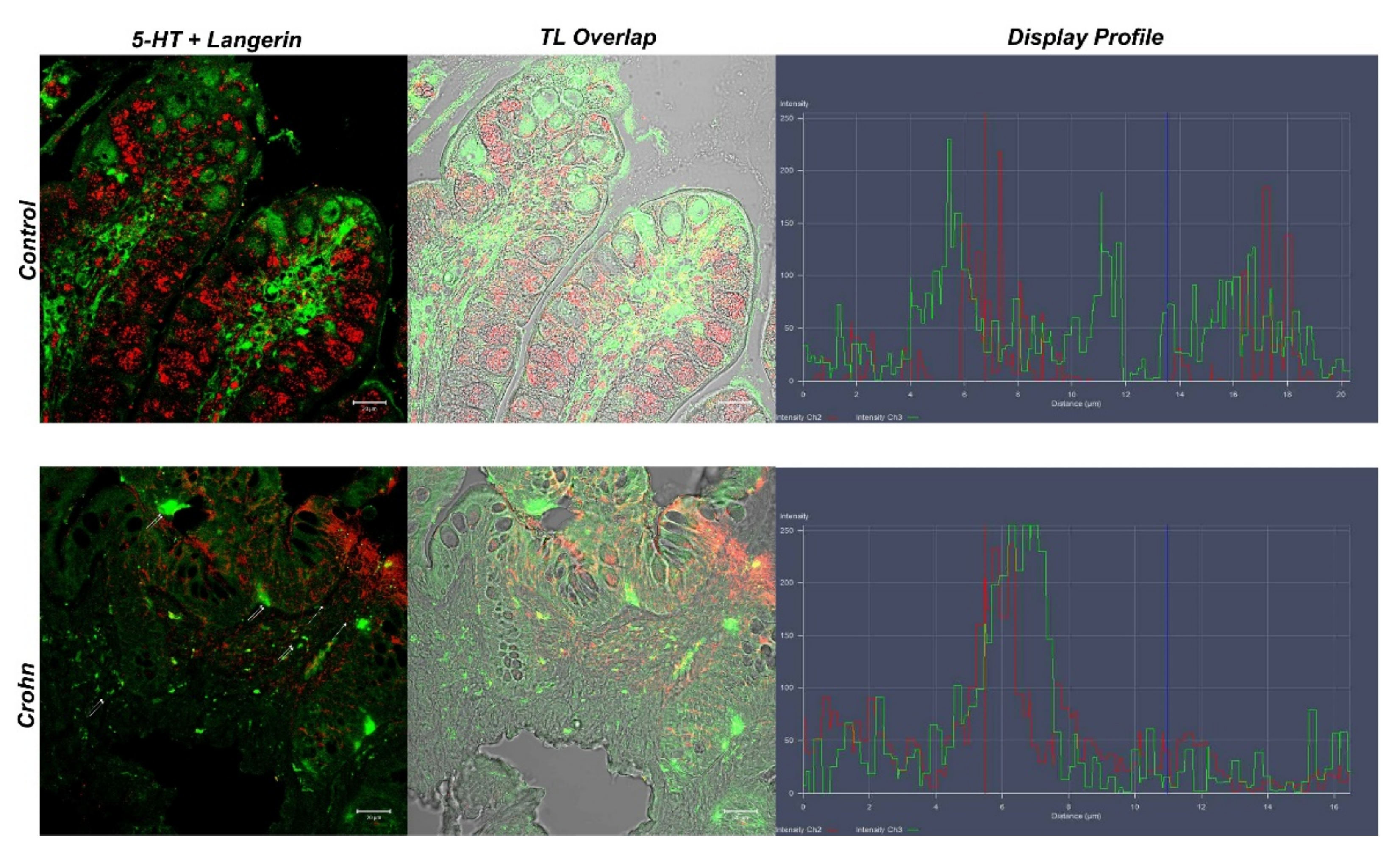 Biomedicines 10 00765 g005 Biomedicines 10 00765 g005