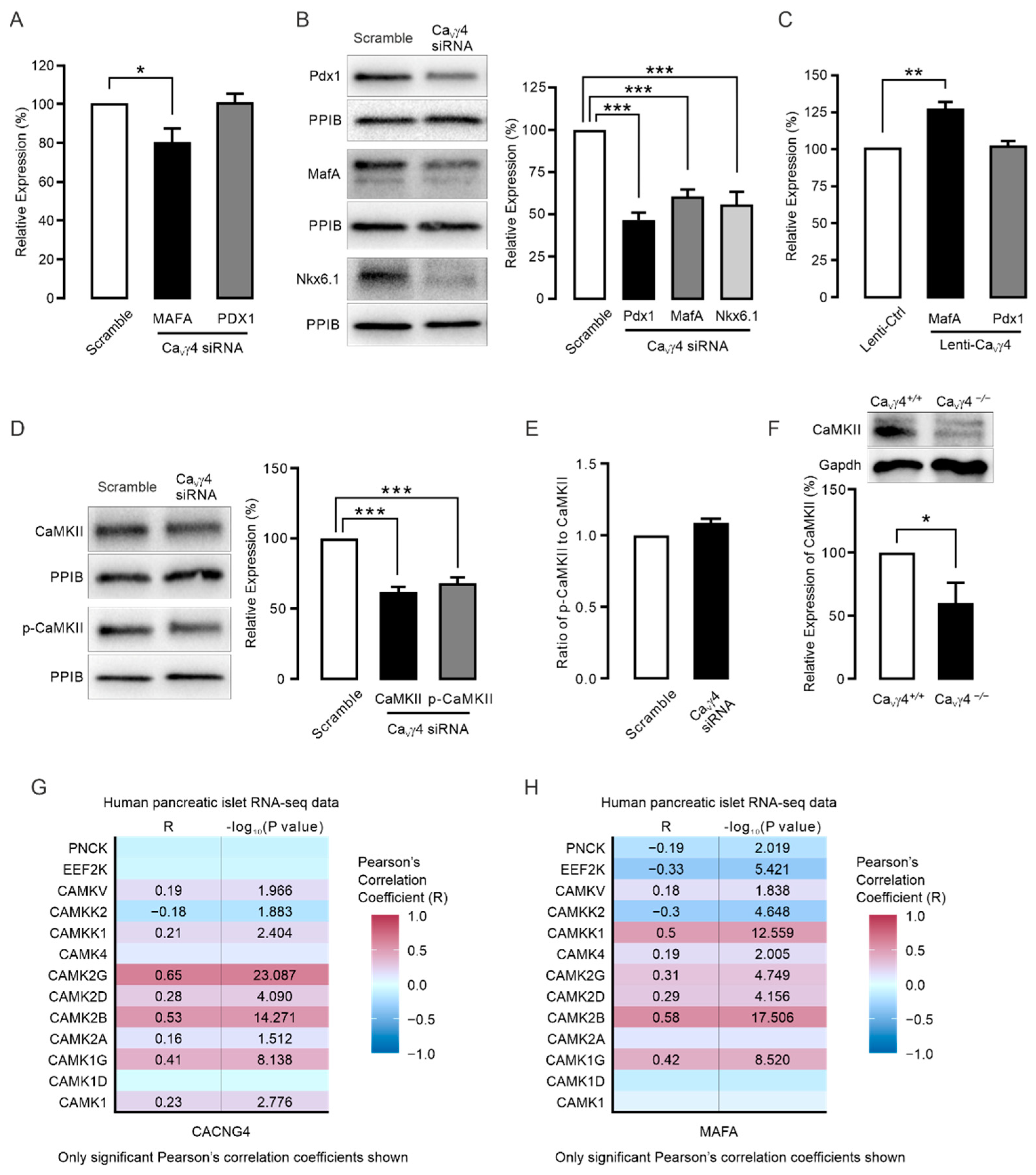 Biomedicines 10 00770 g003 Biomedicines 10 00770 g003
