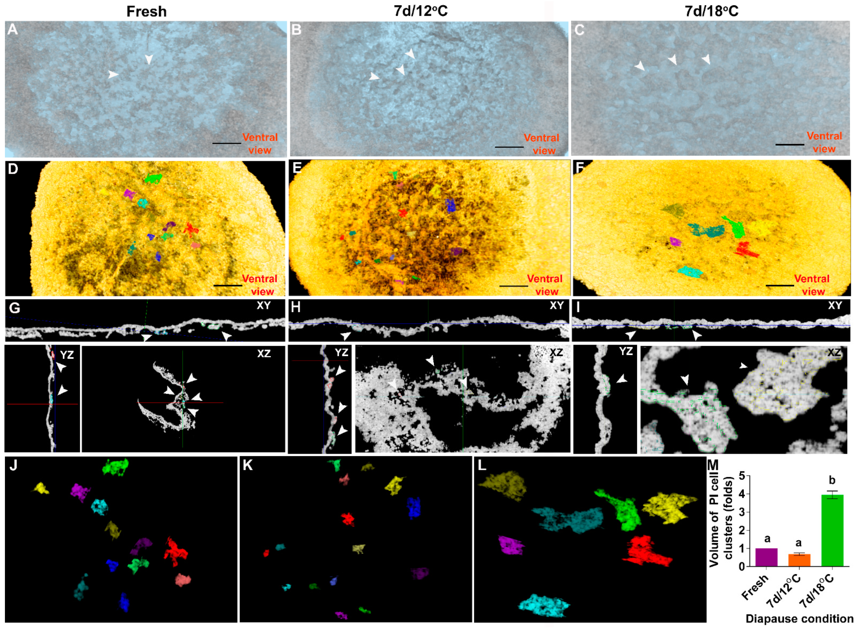 Biomedicines 10 00779 g003 Biomedicines 10 00779 g003