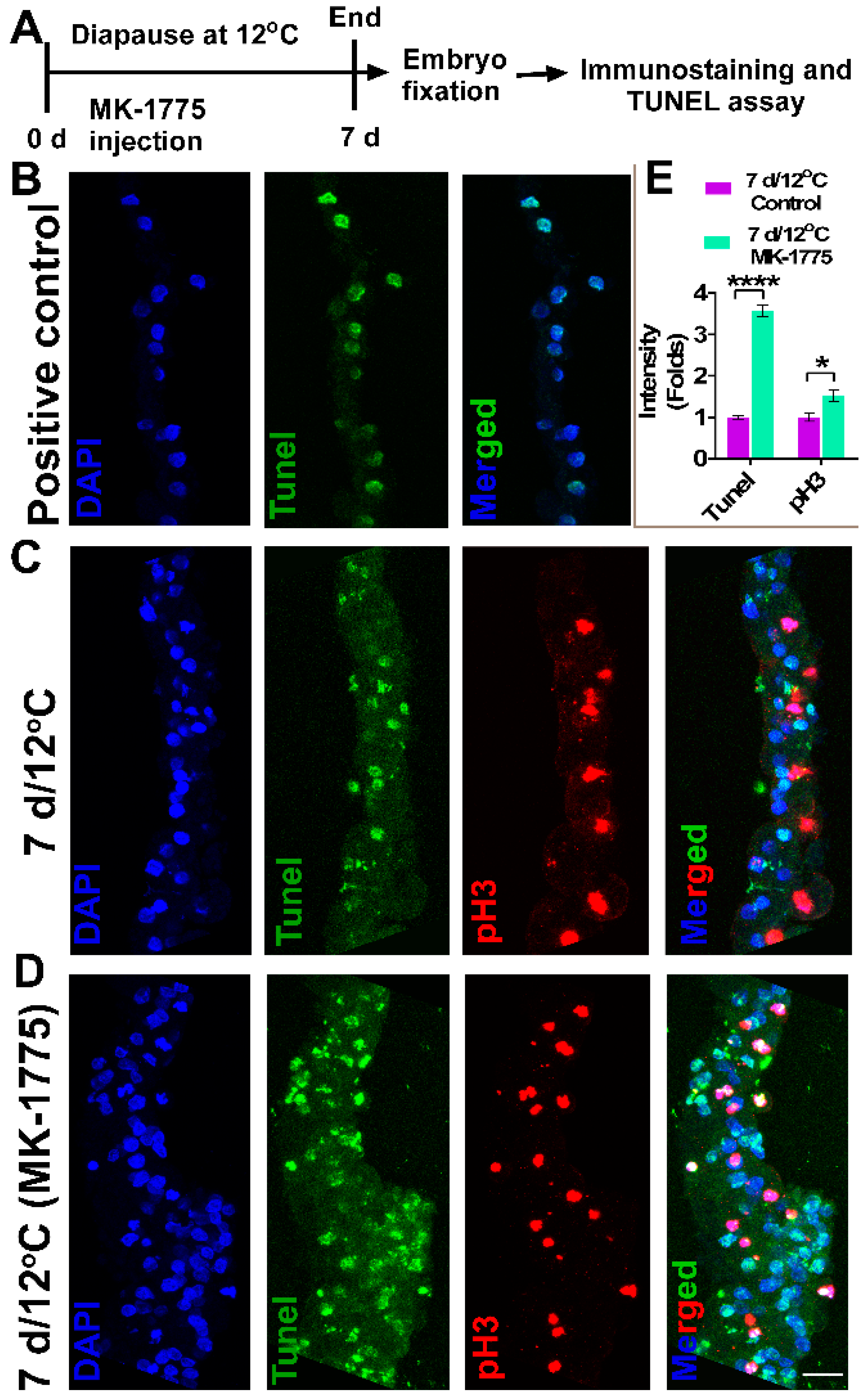 Biomedicines 10 00779 g009 Biomedicines 10 00779 g009