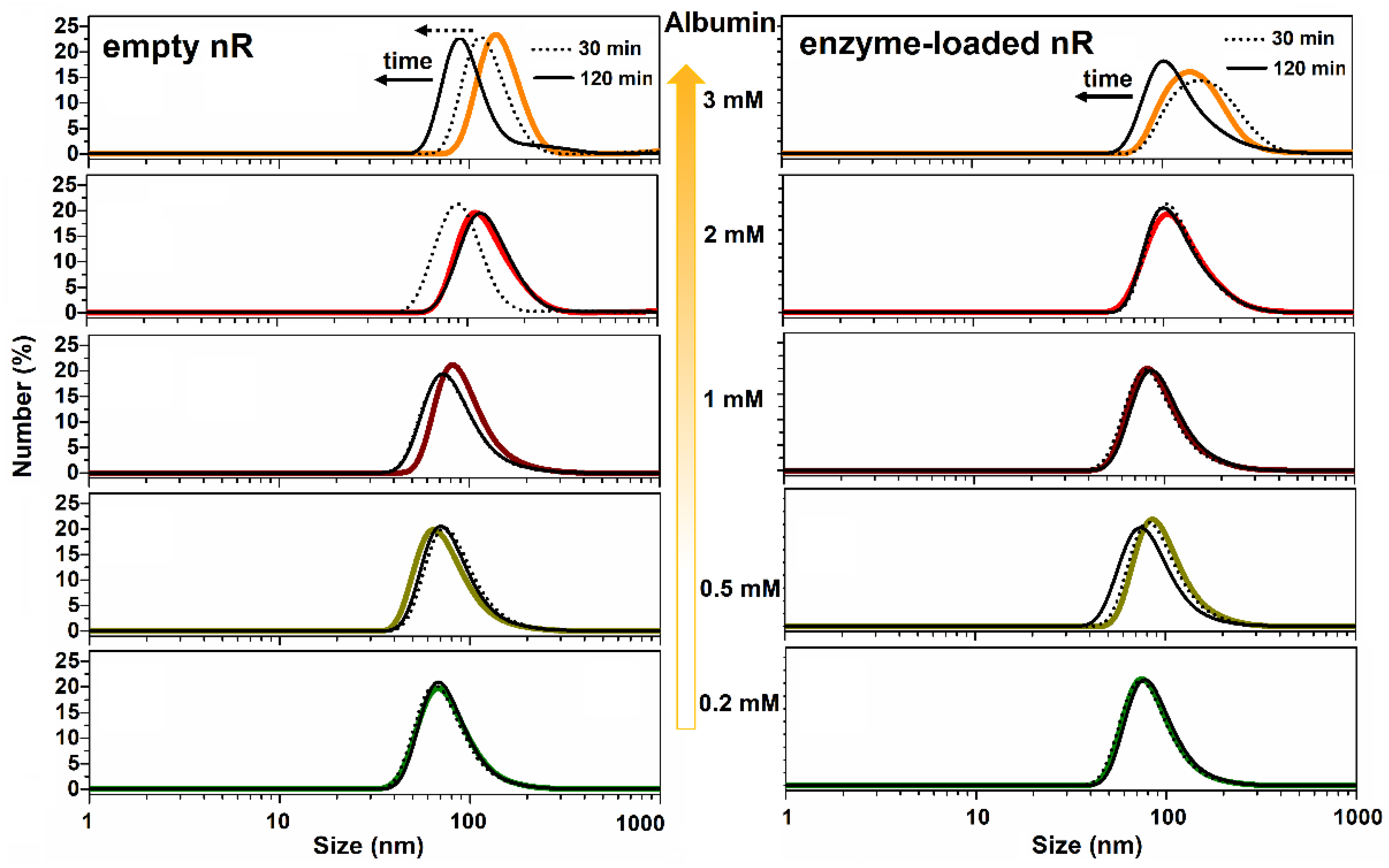 Biomedicines 10 00784 g005