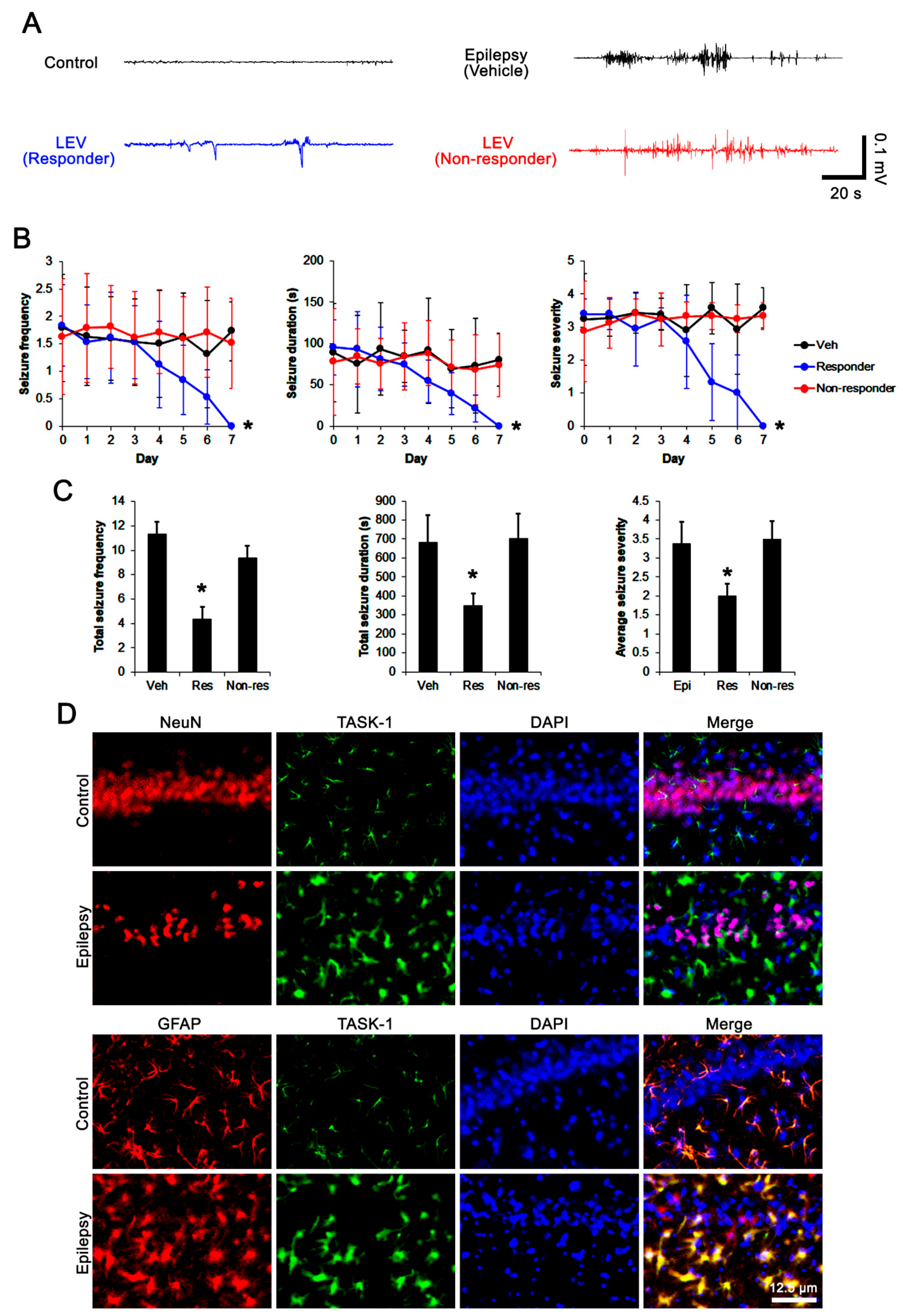 Biomedicines 10 00787 g002