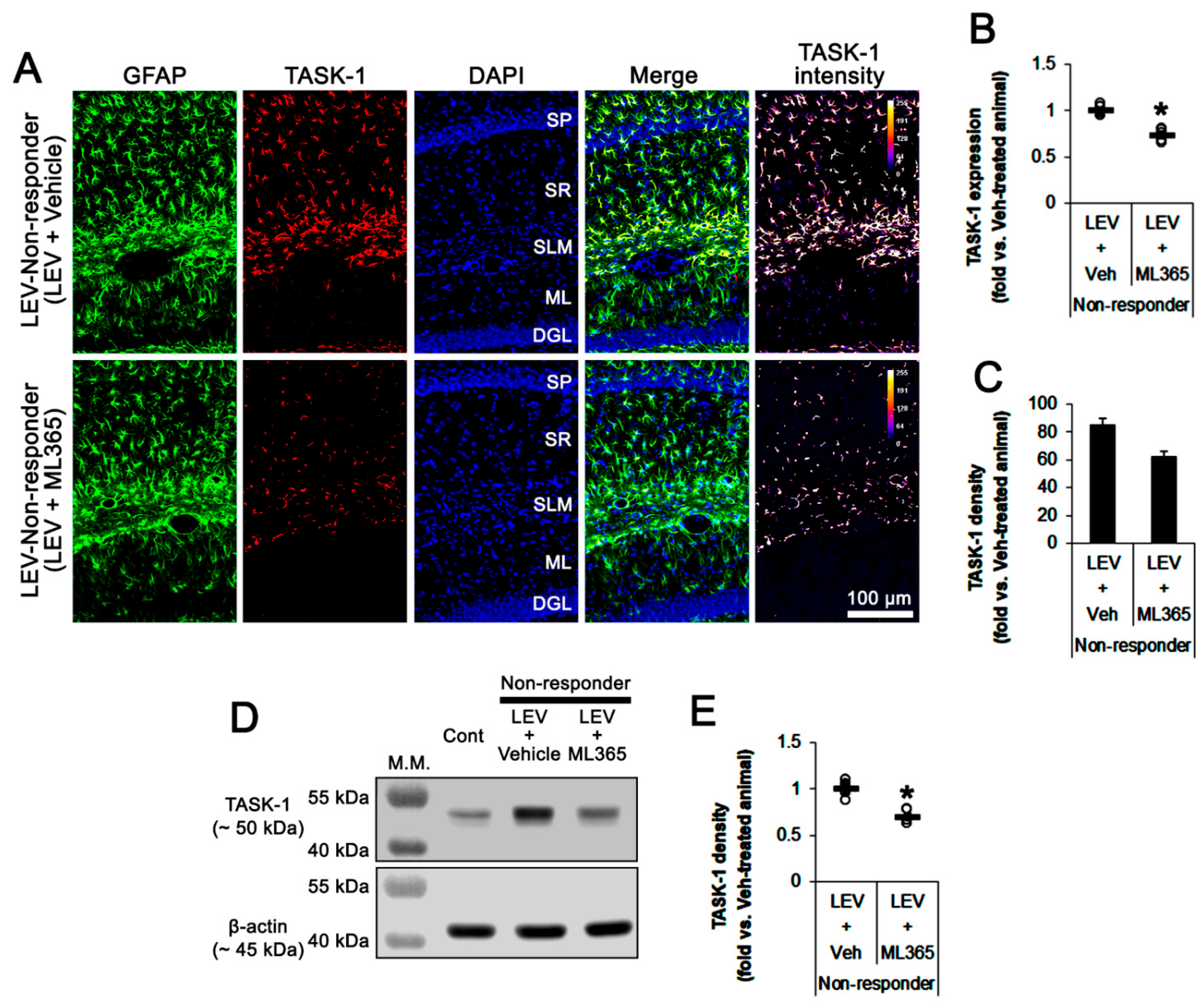 Biomedicines 10 00787 g007
