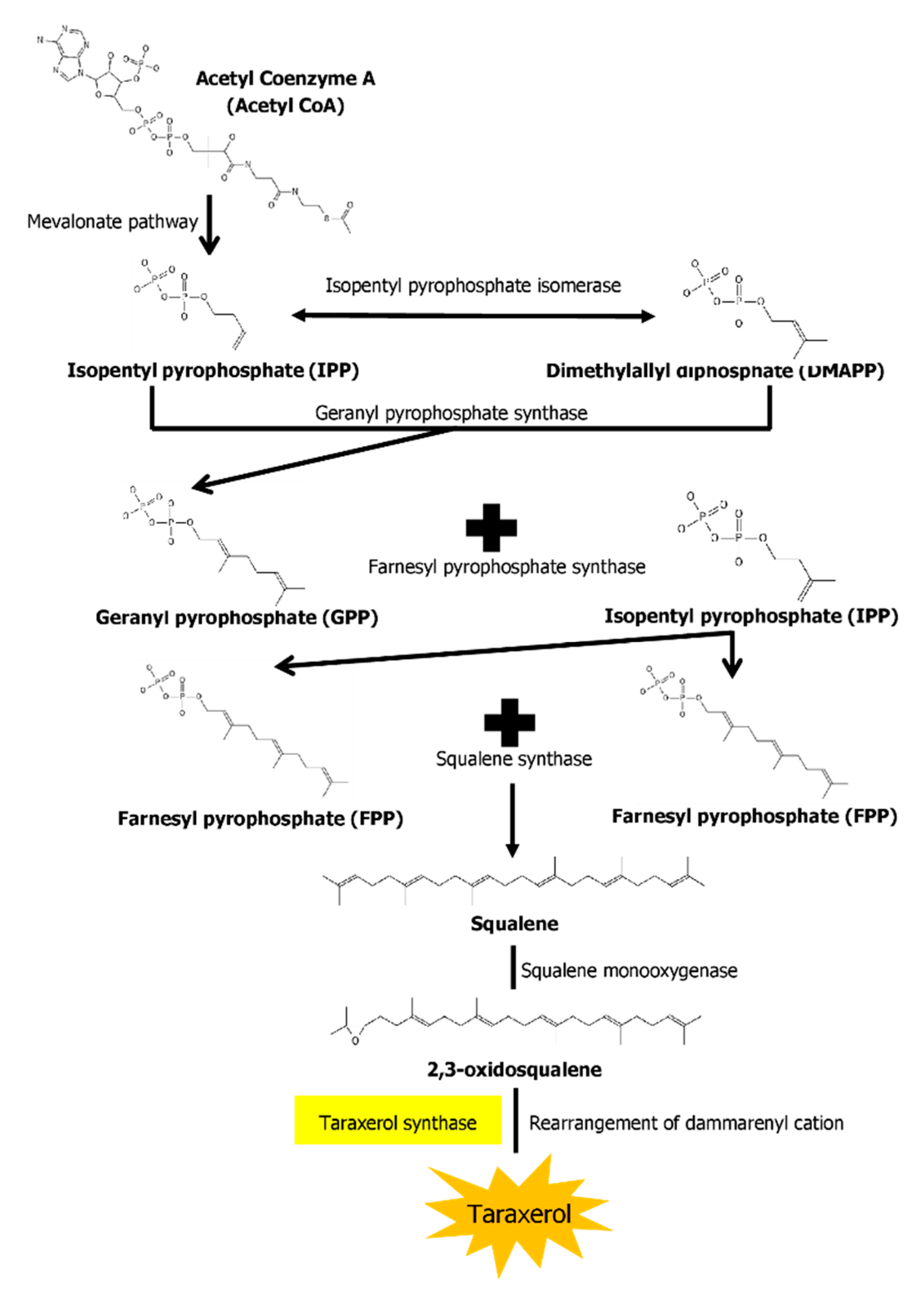 Biomedicines 10 00807 g002 550