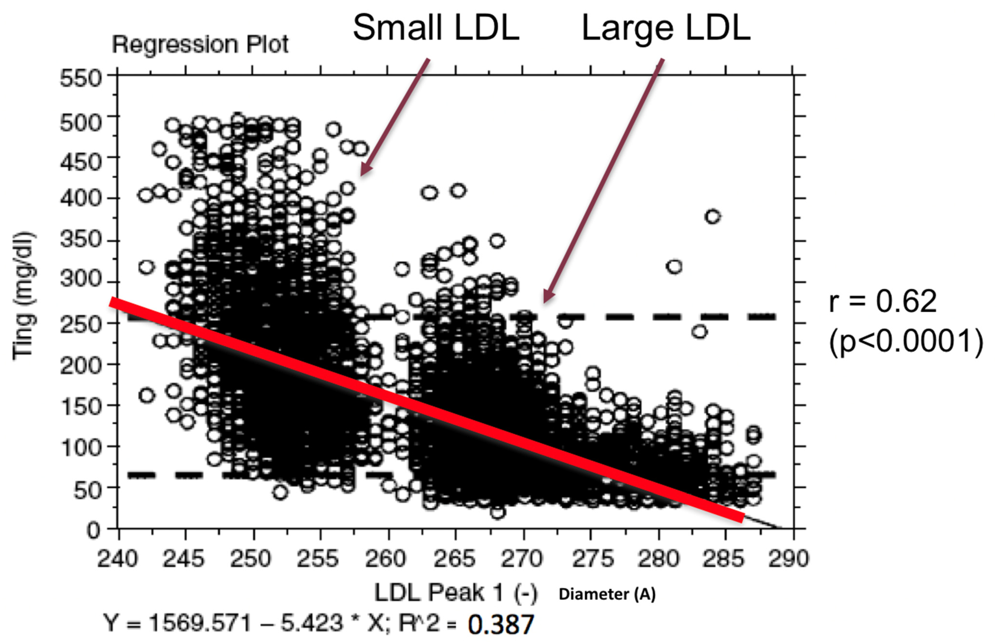 Biomedicines 10 00829 g002