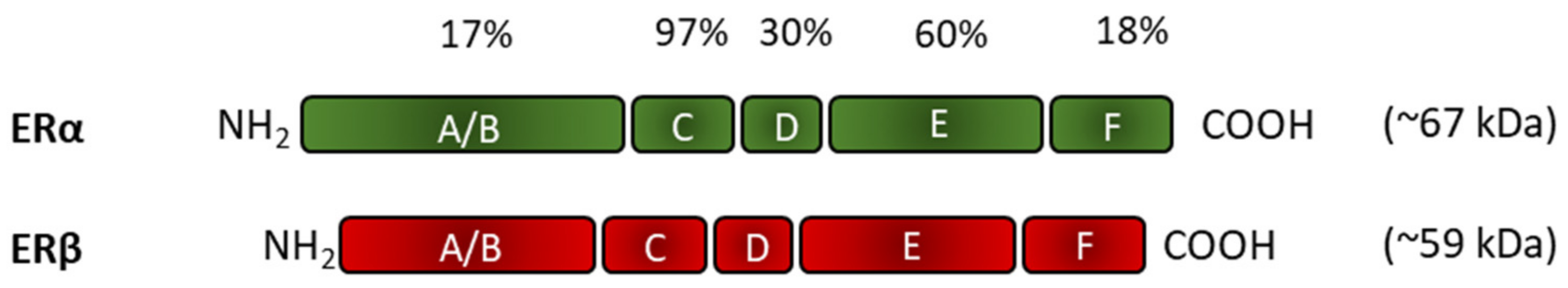 Biomedicines 10 00861 g004