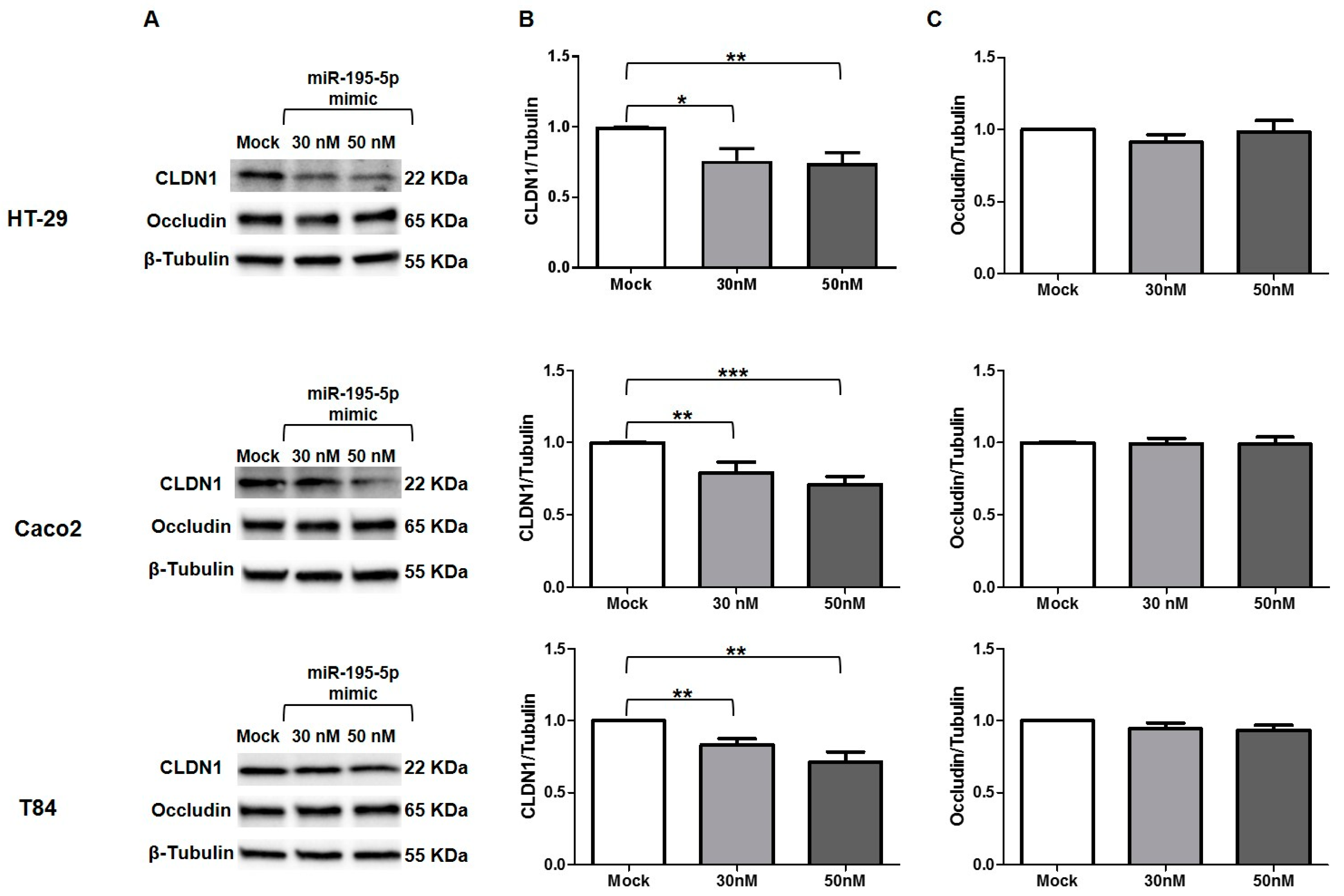 Biomedicines 10 00919 g006