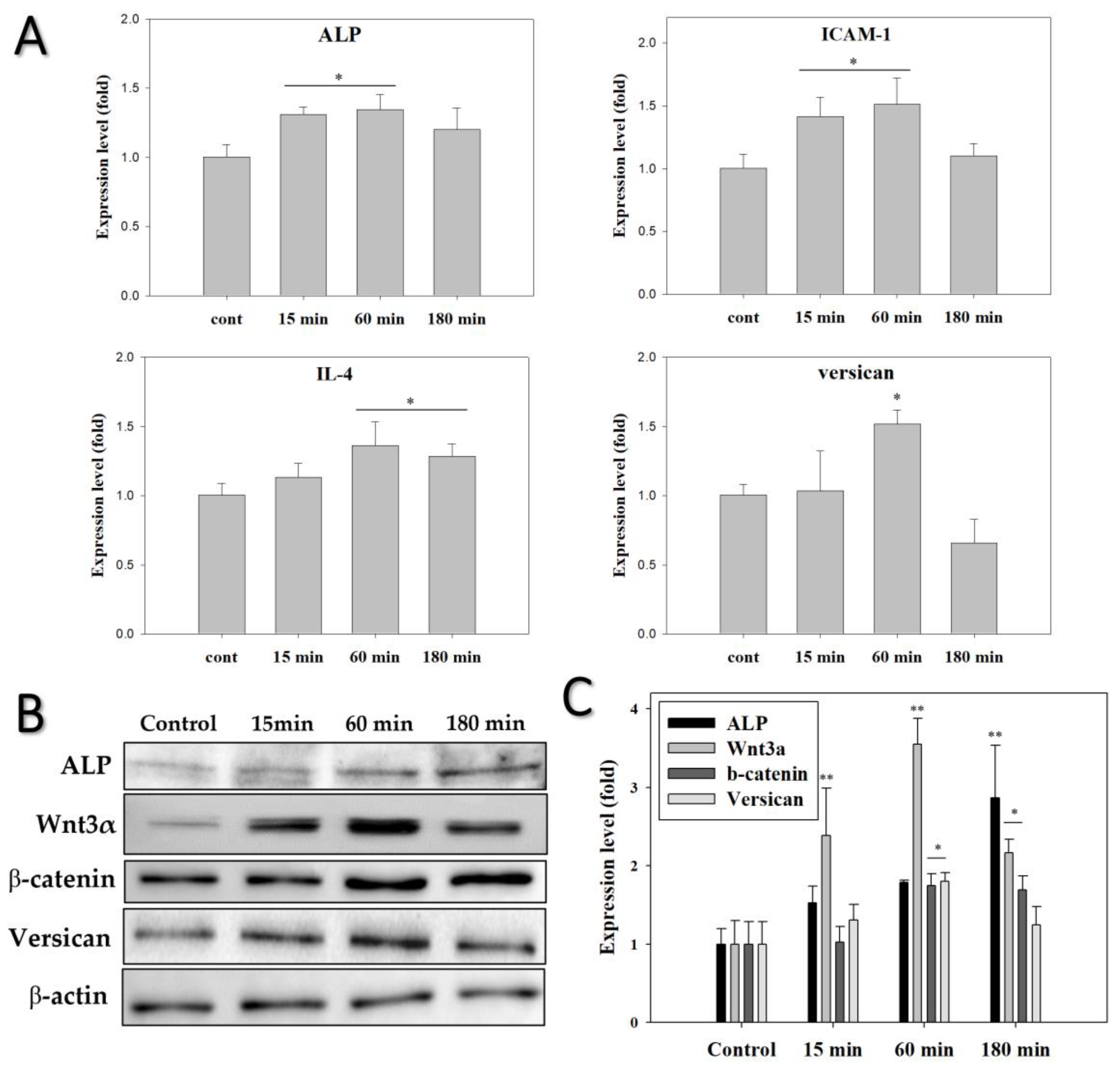 Biomedicines 10 00924 g006