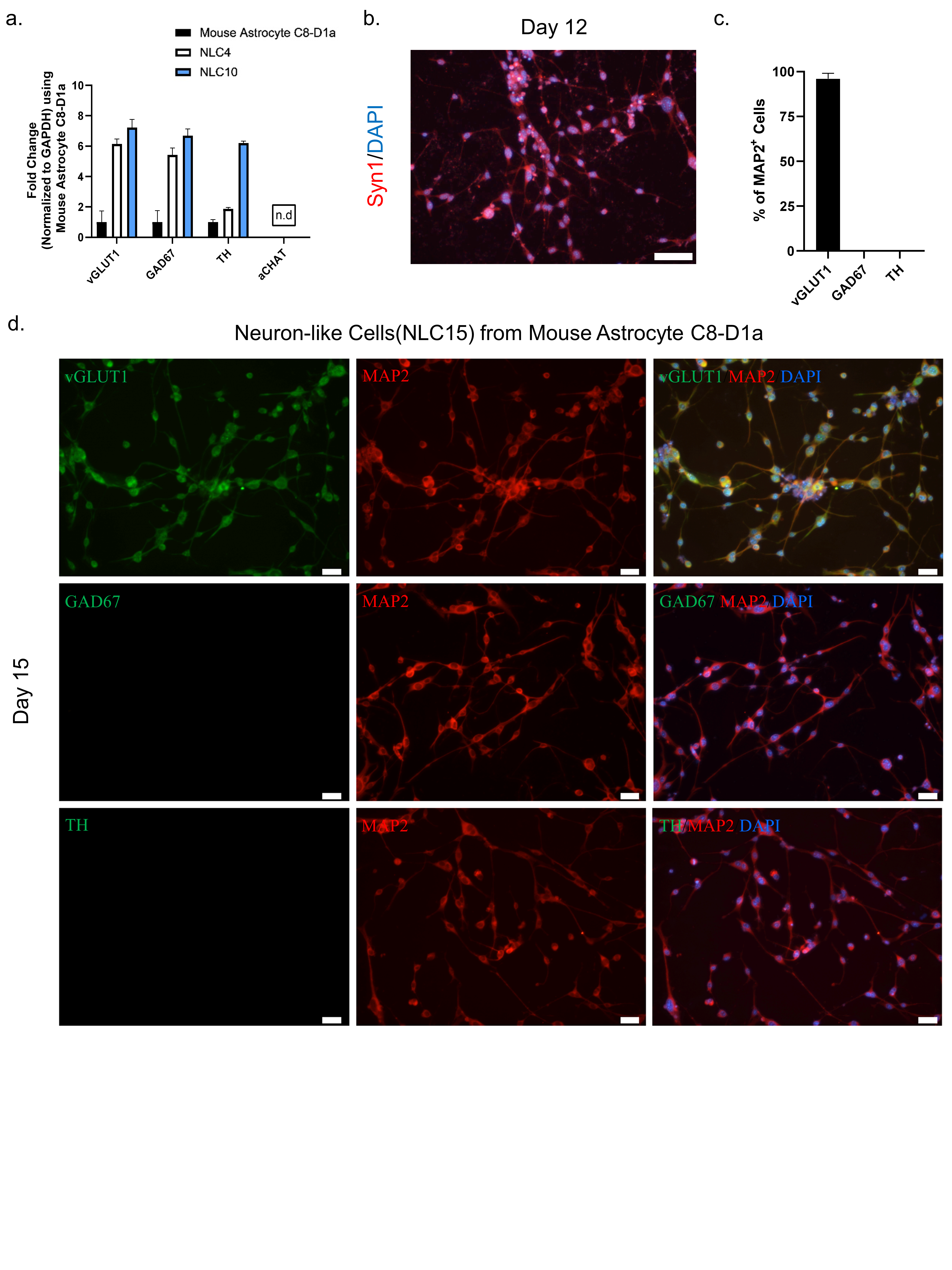 Biomedicines 10 00928 g003