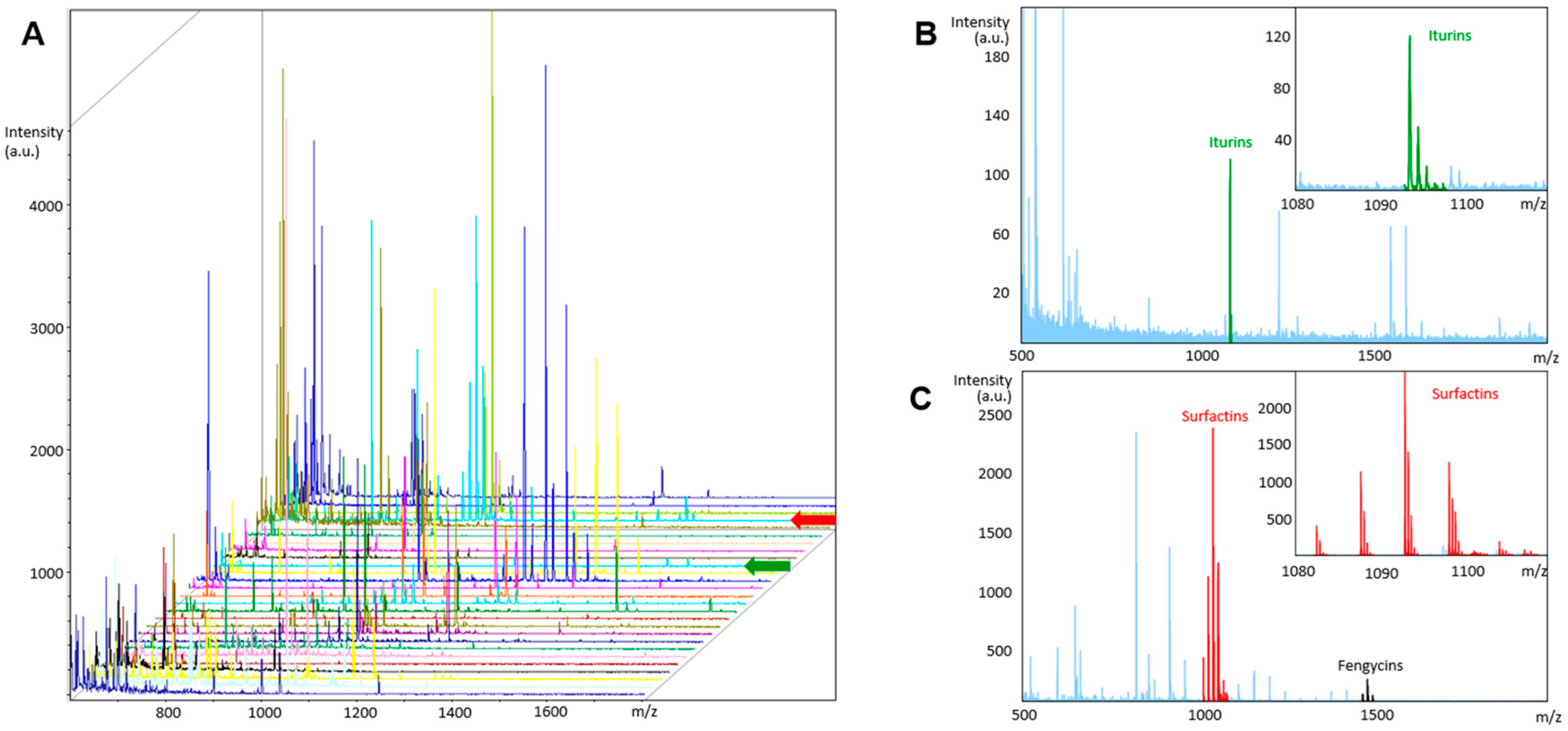 Biomedicines 10 00930 g003