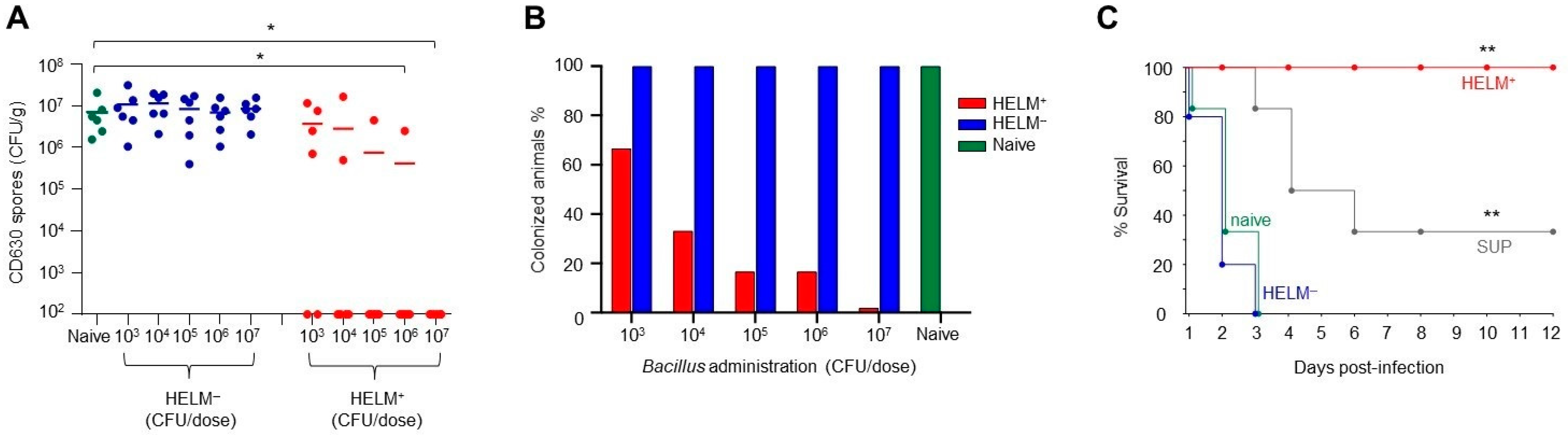 Biomedicines 10 00930 g006