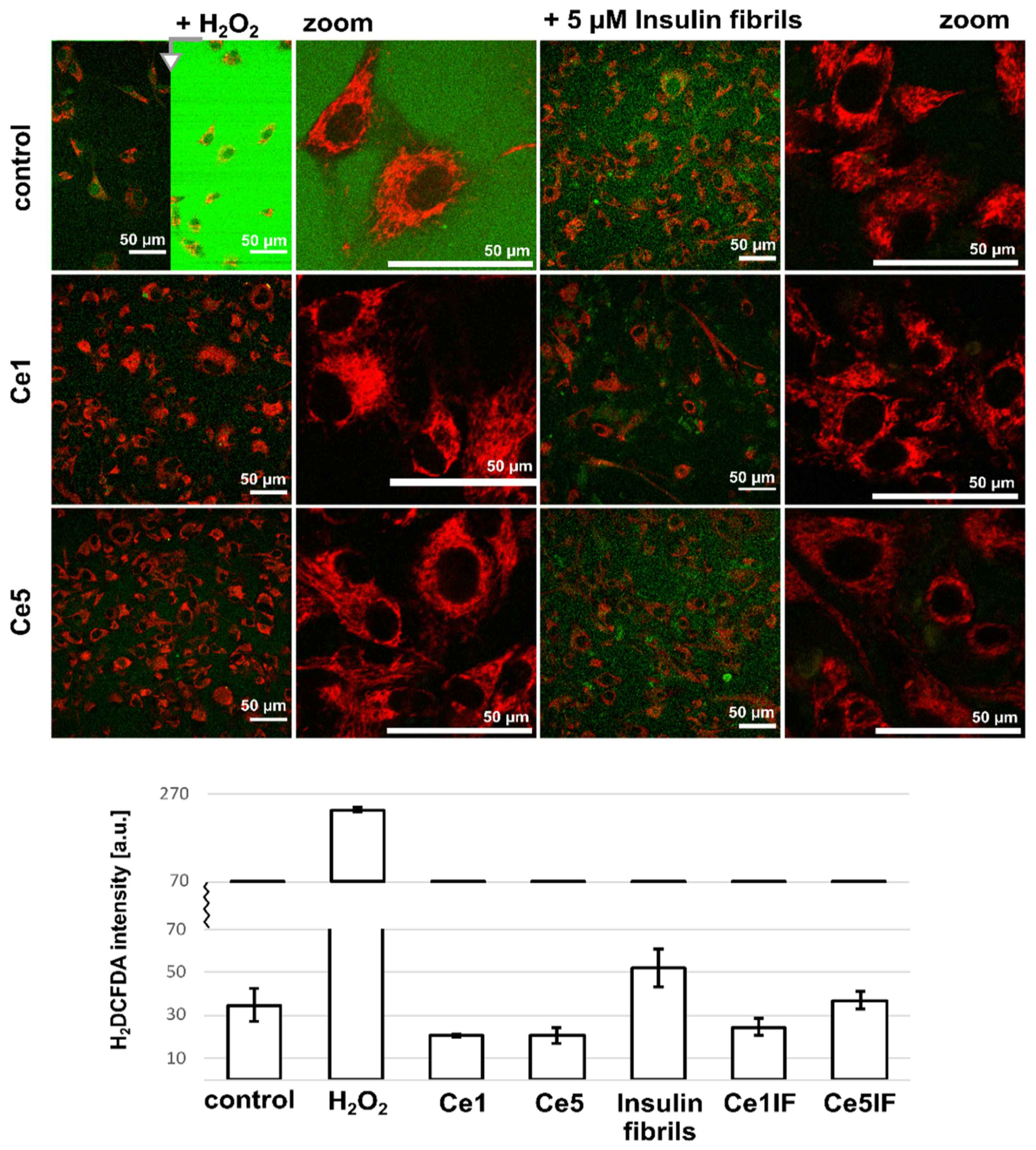 Nanoparticelle di Ossido di Cerio NanoTek® Cerium Oxide, in